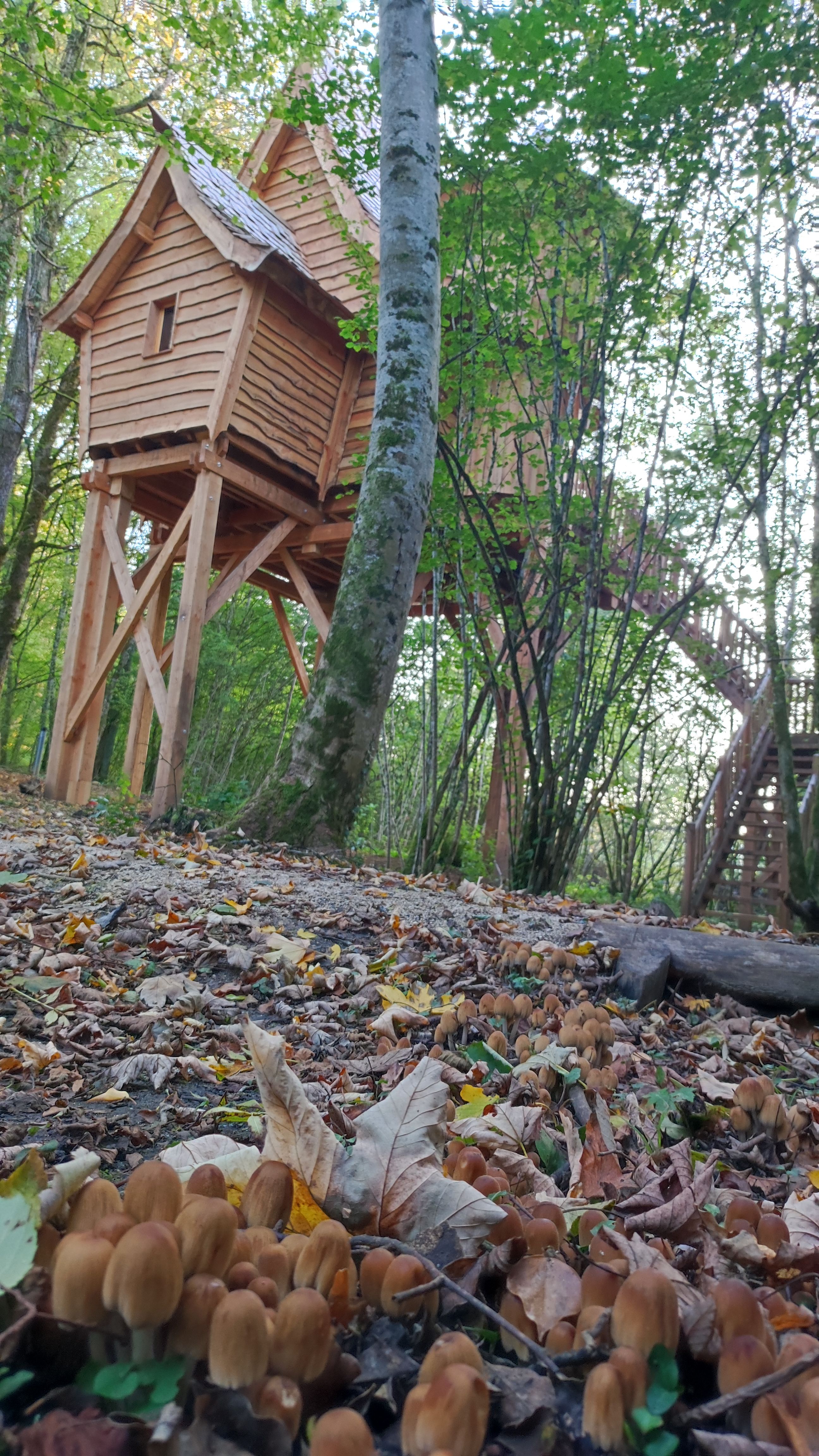 CABANE FEERIQUE SPA – Domaine de la Combe Rossignol — image 17