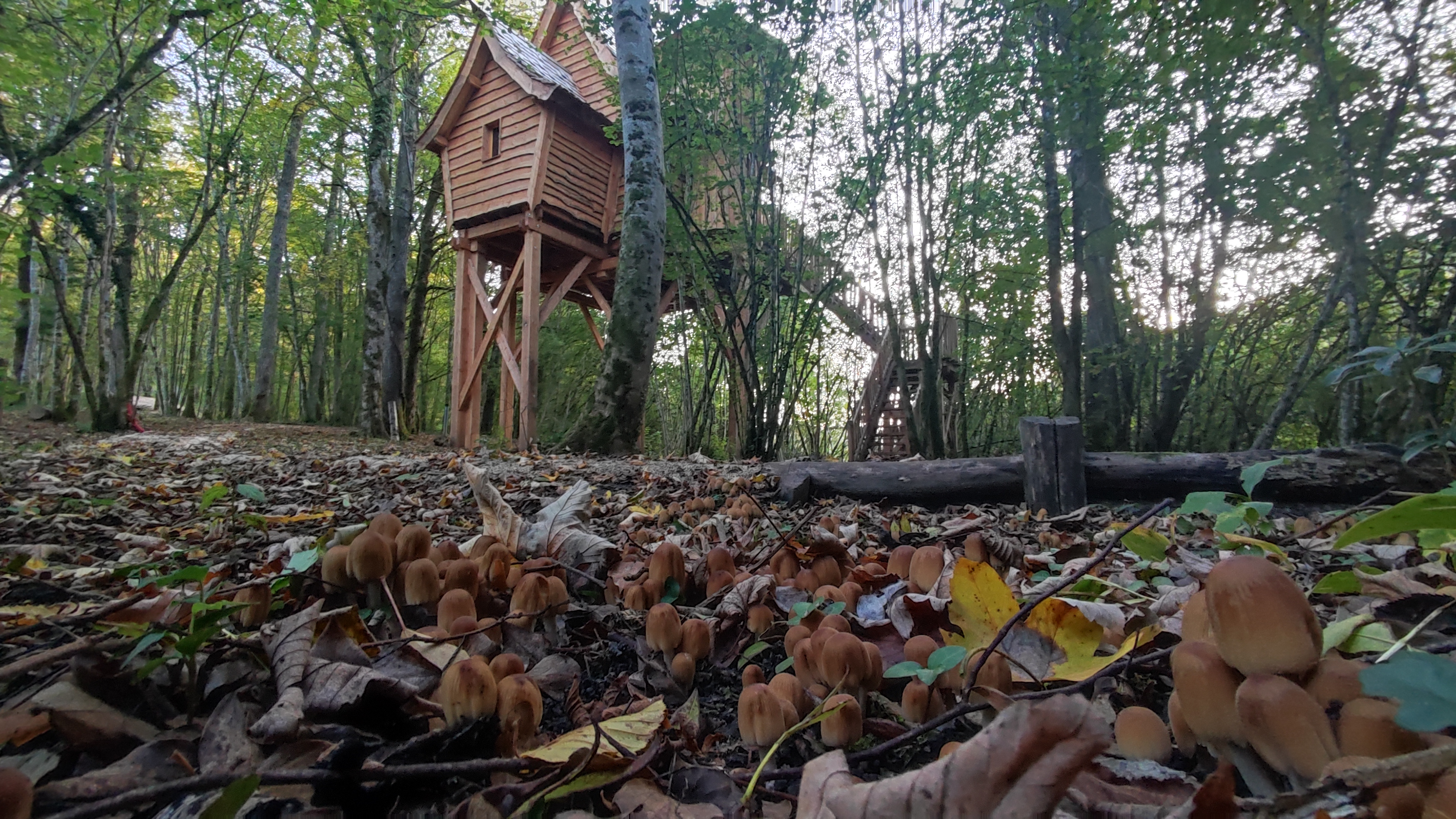 CABANE FEERIQUE SPA – Domaine de la Combe Rossignol — image 18
