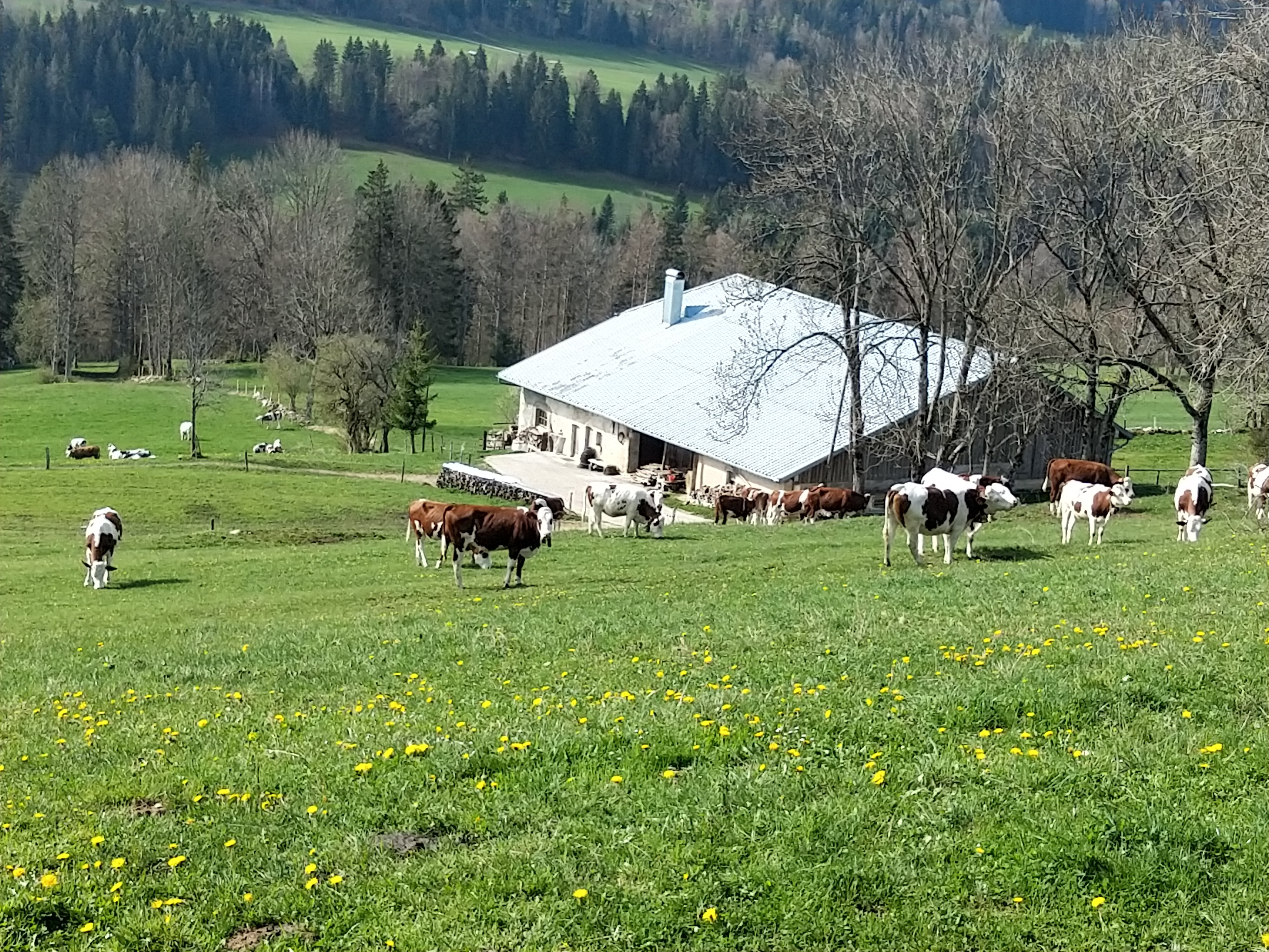 Gîte Les Pâturages