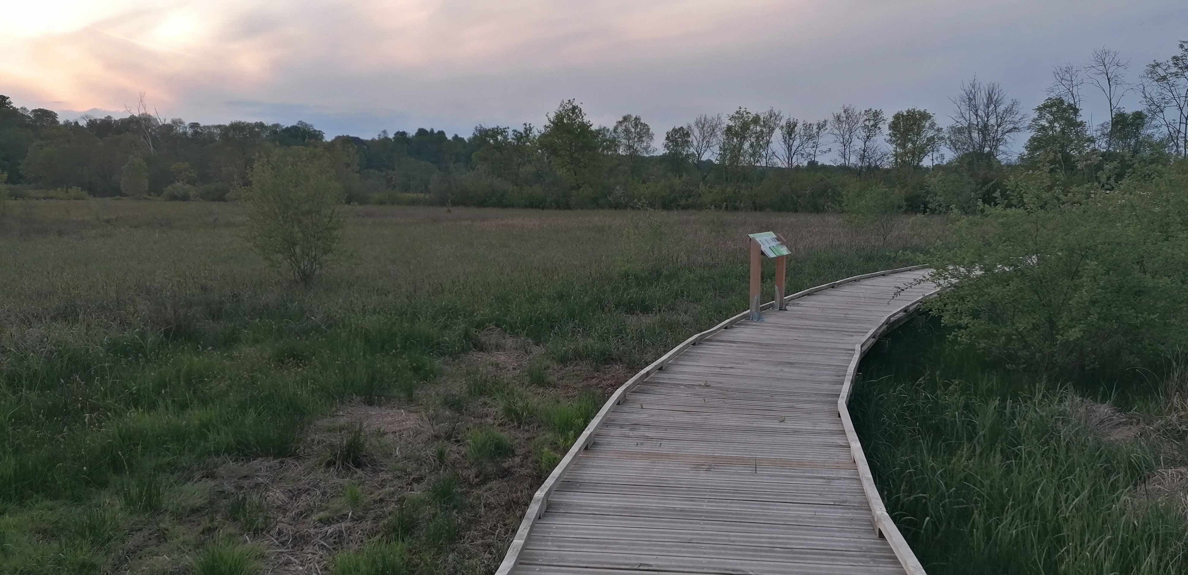 Un soir au marais de Massilly
