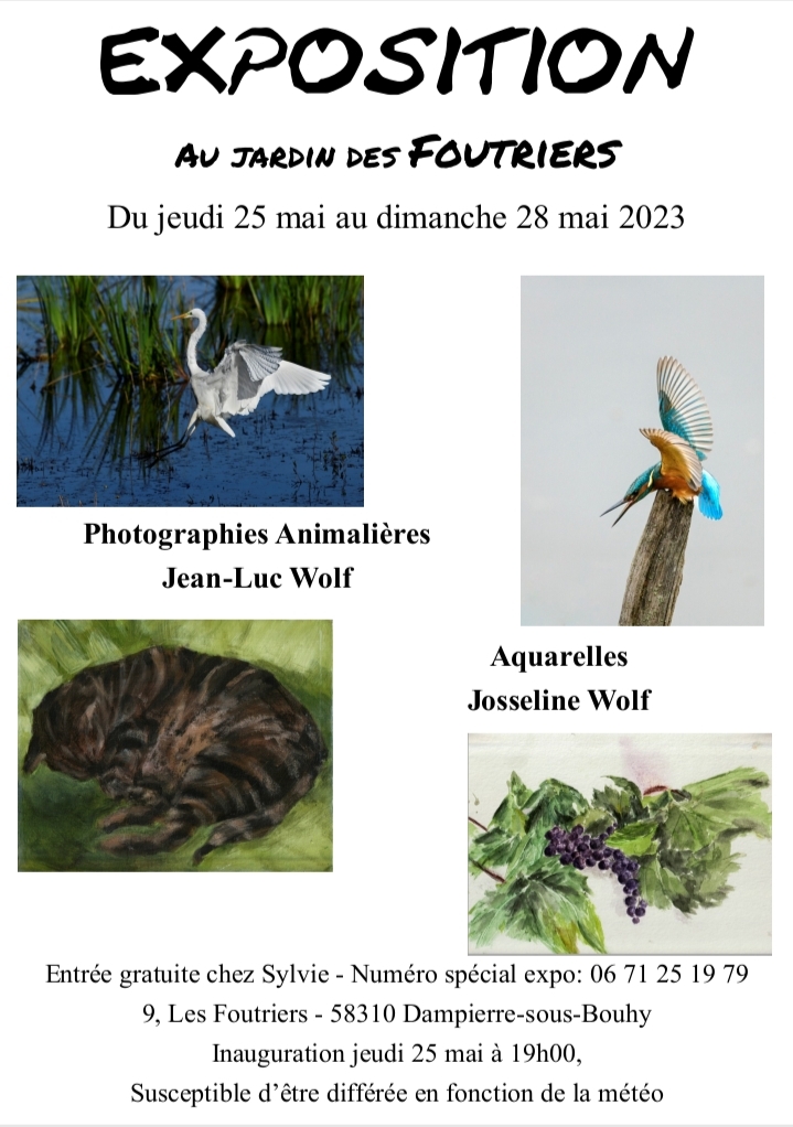 exposition