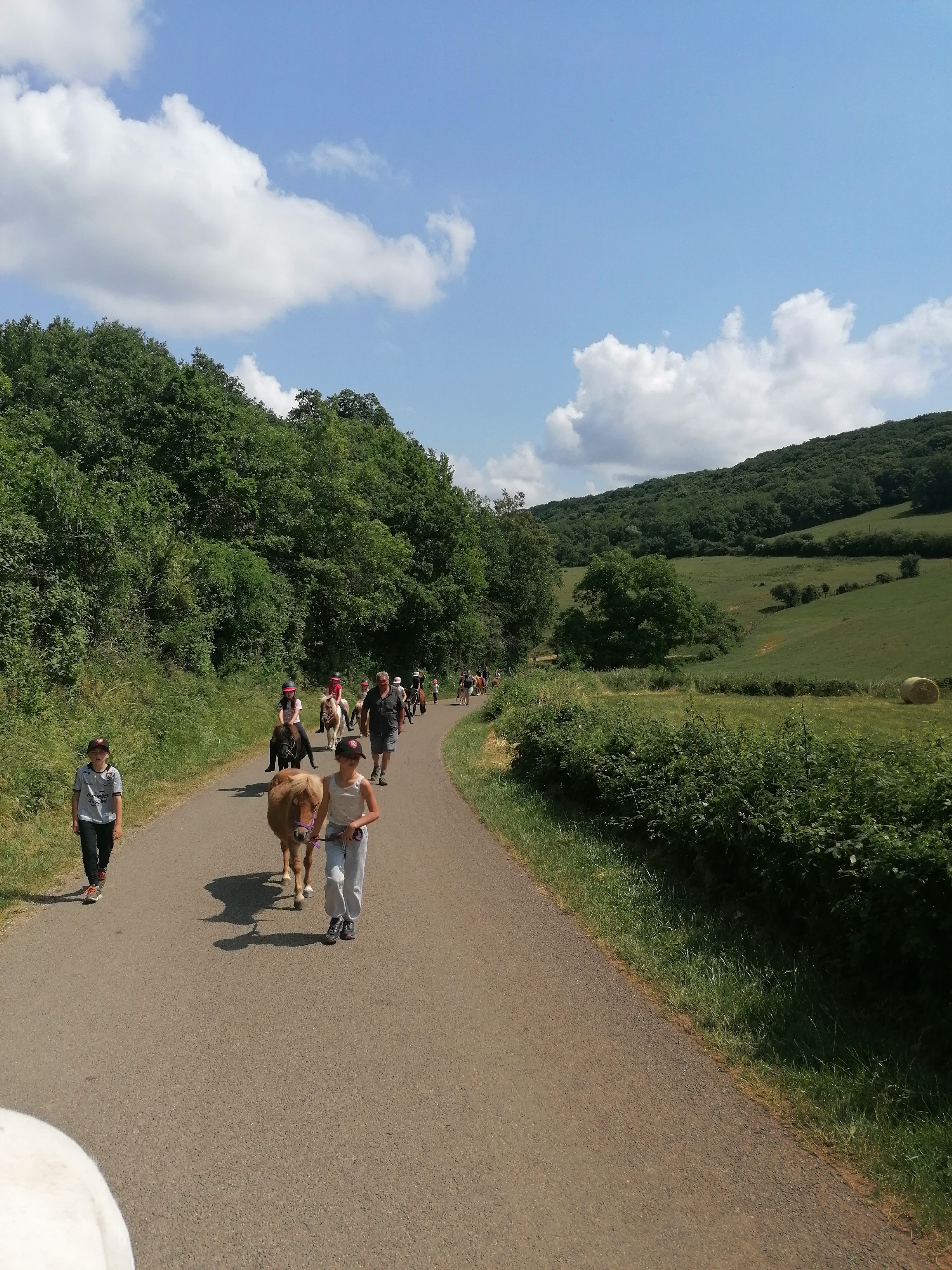 Promenades à poney