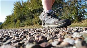 Marche gourmande bio 