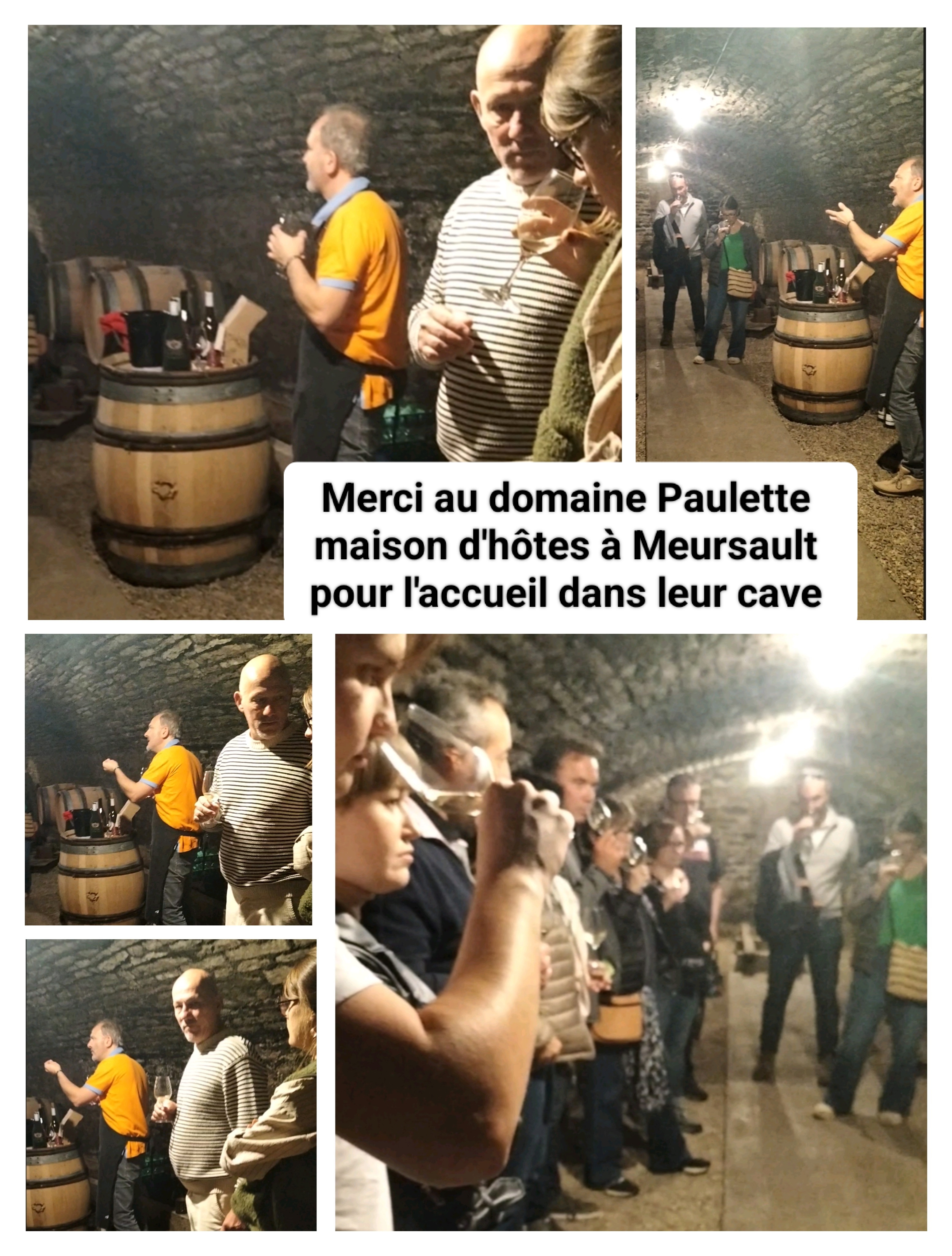 dégustation en cave