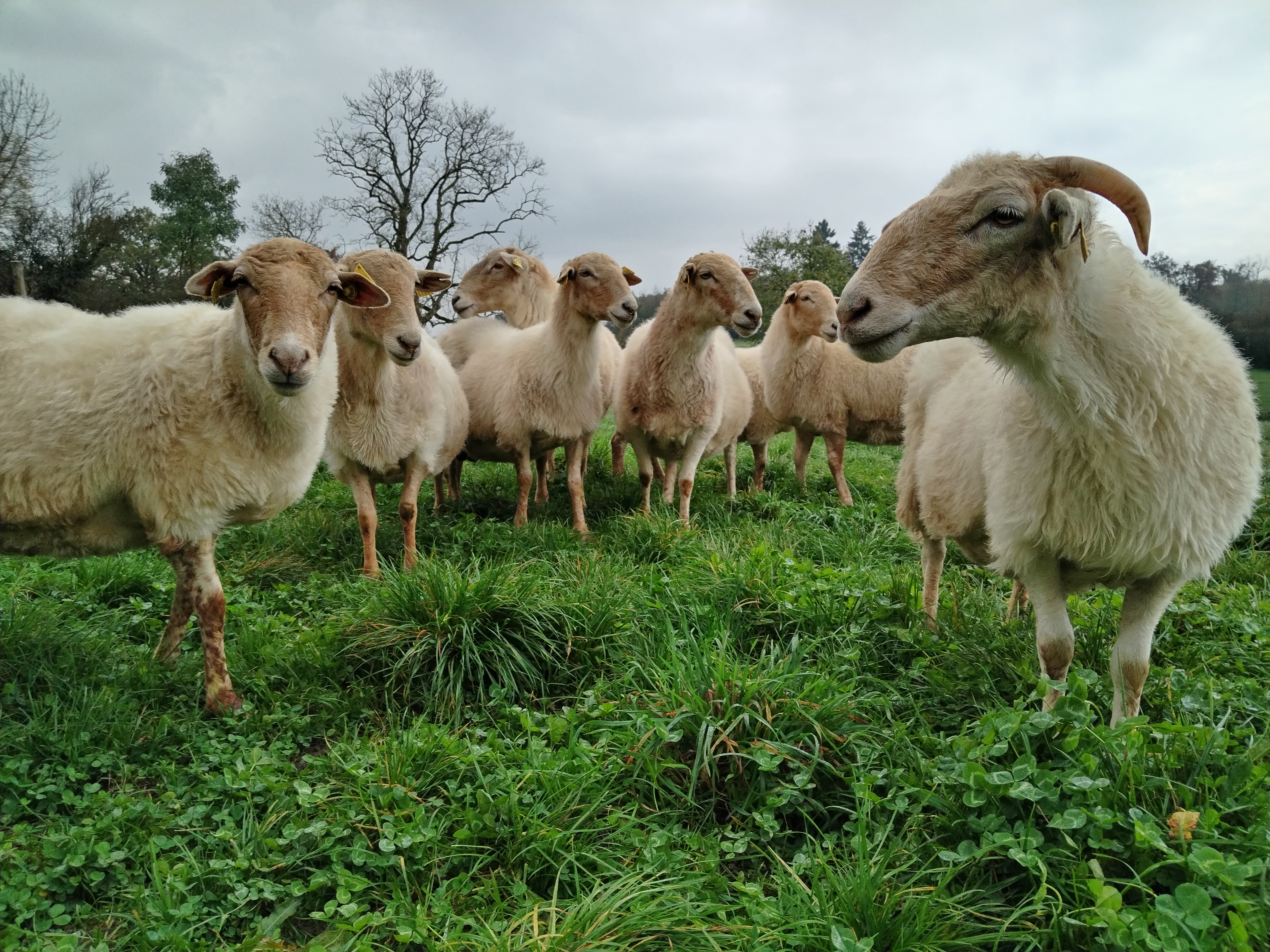 Naturellement visites : Visite de la ferme Chambosse