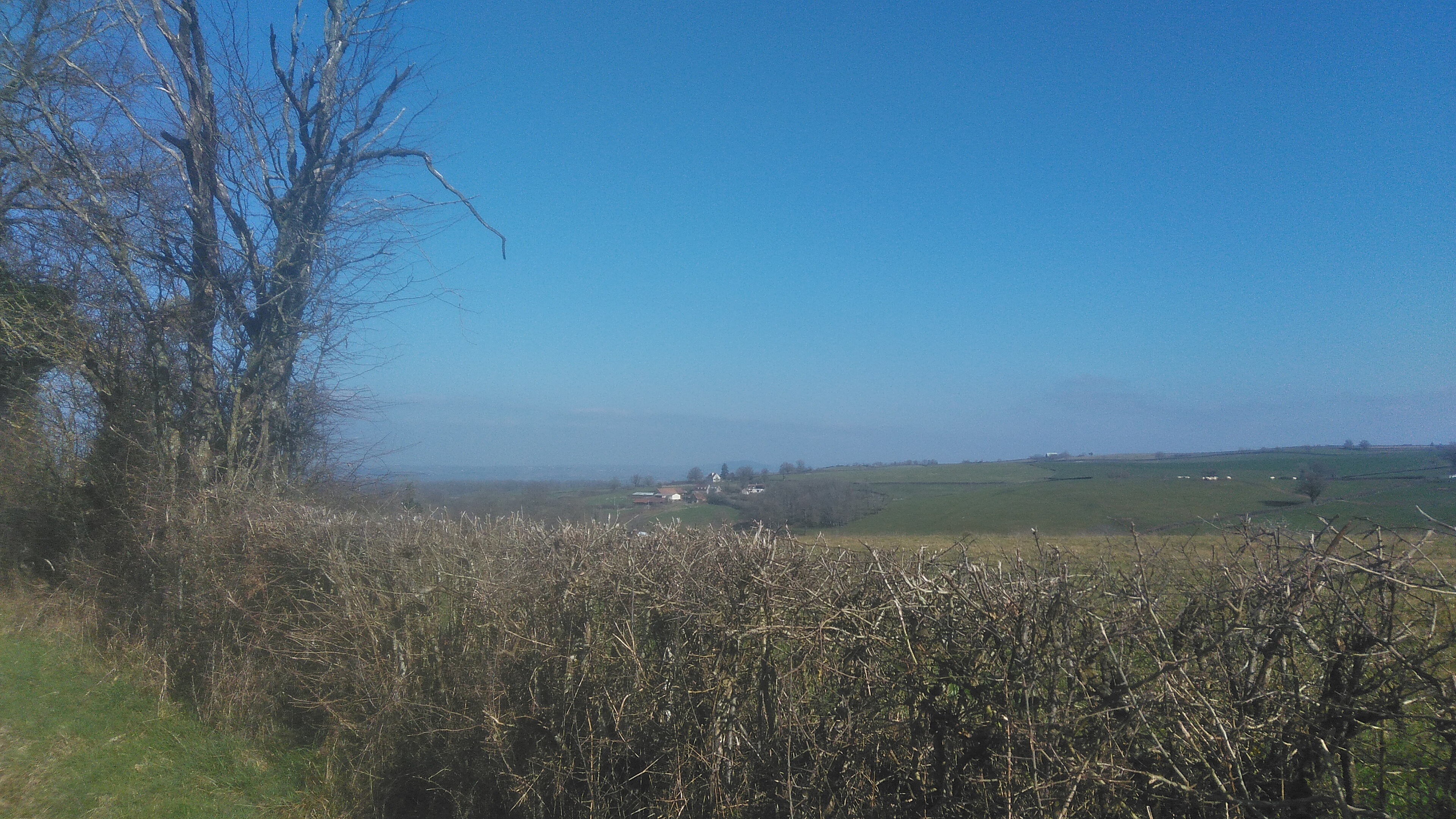 paysage