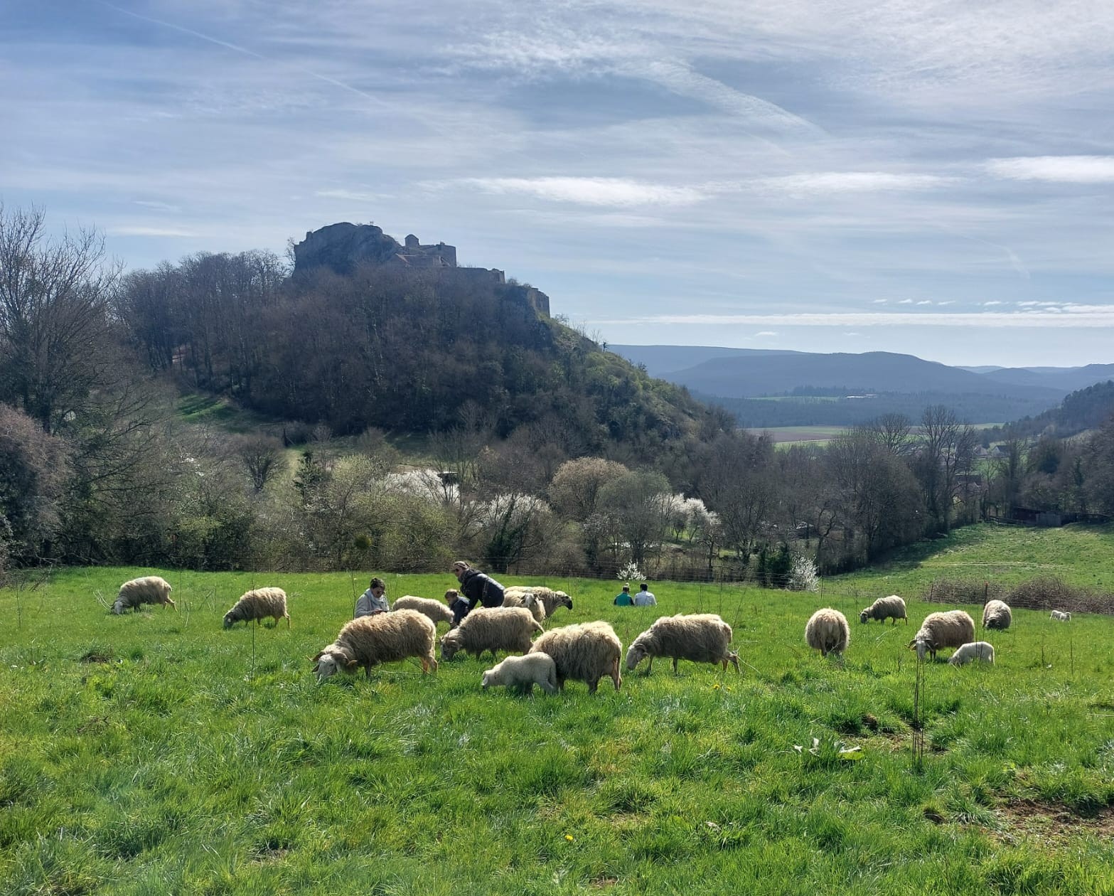 Ferme de Coline 4