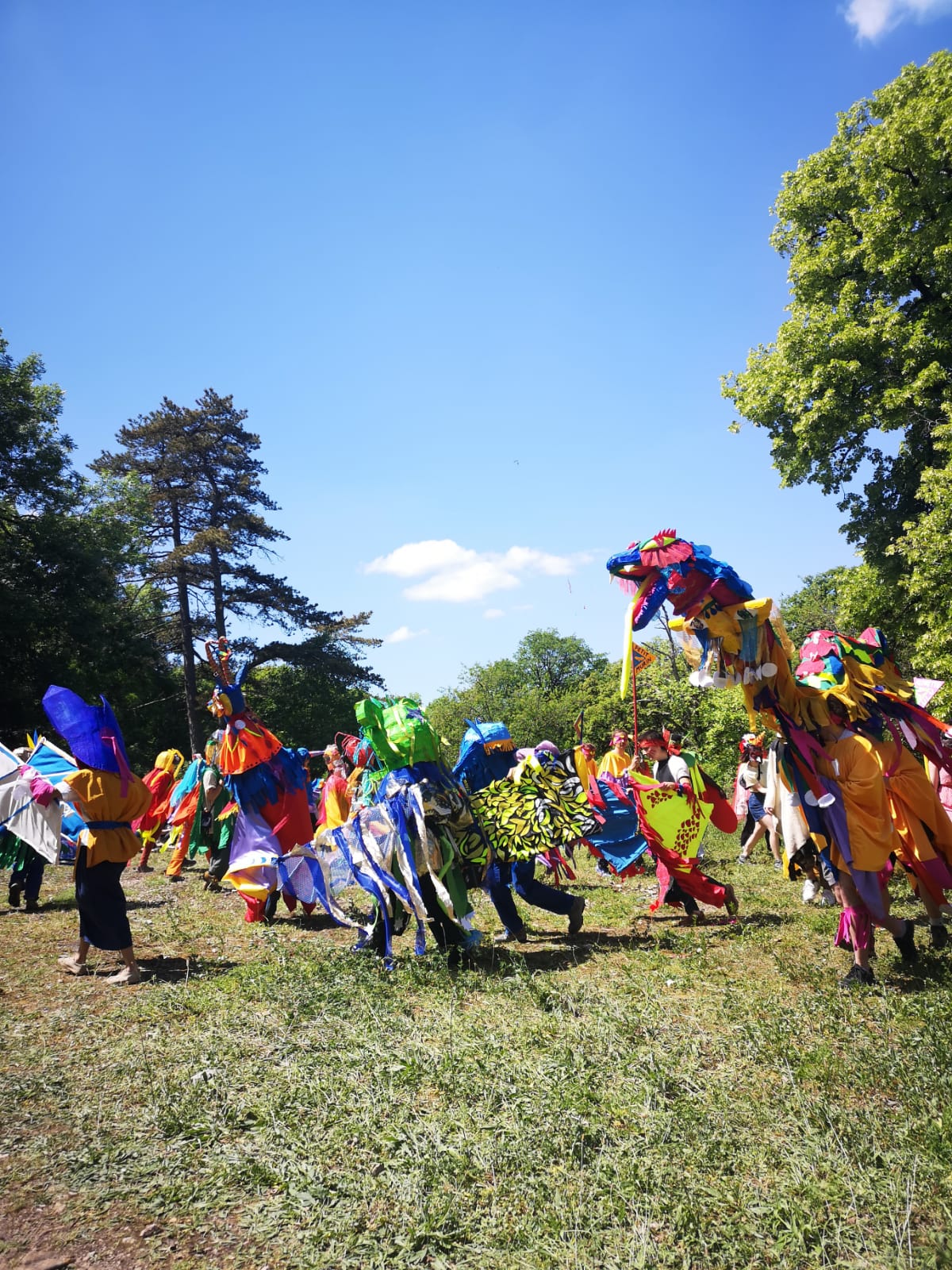 Création d'accesoires du vivant pour le Carnaval de Besançon