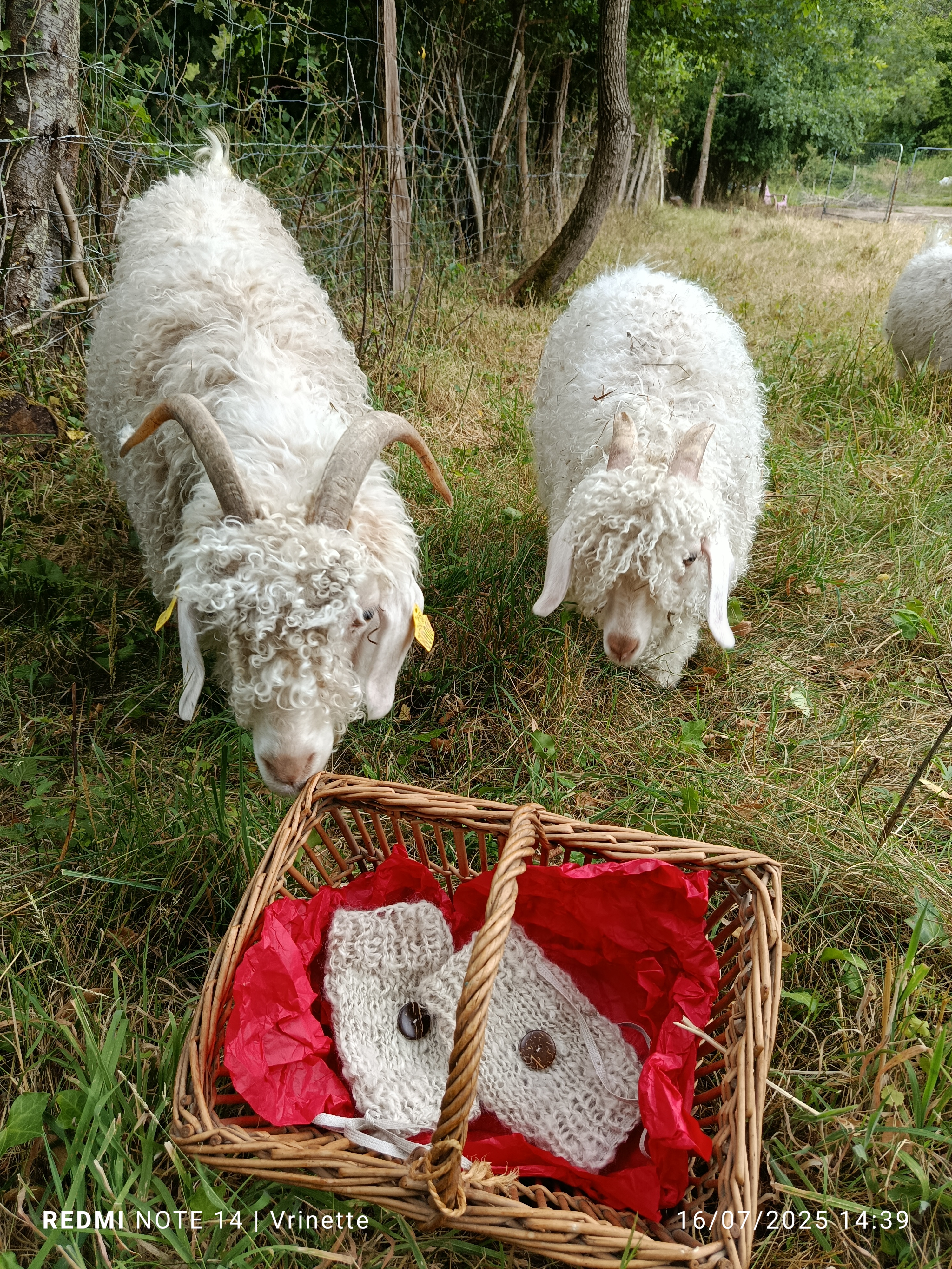 Ateliers initiation de filage au rouet - 2 formules, Saint-Vérain - photo 3