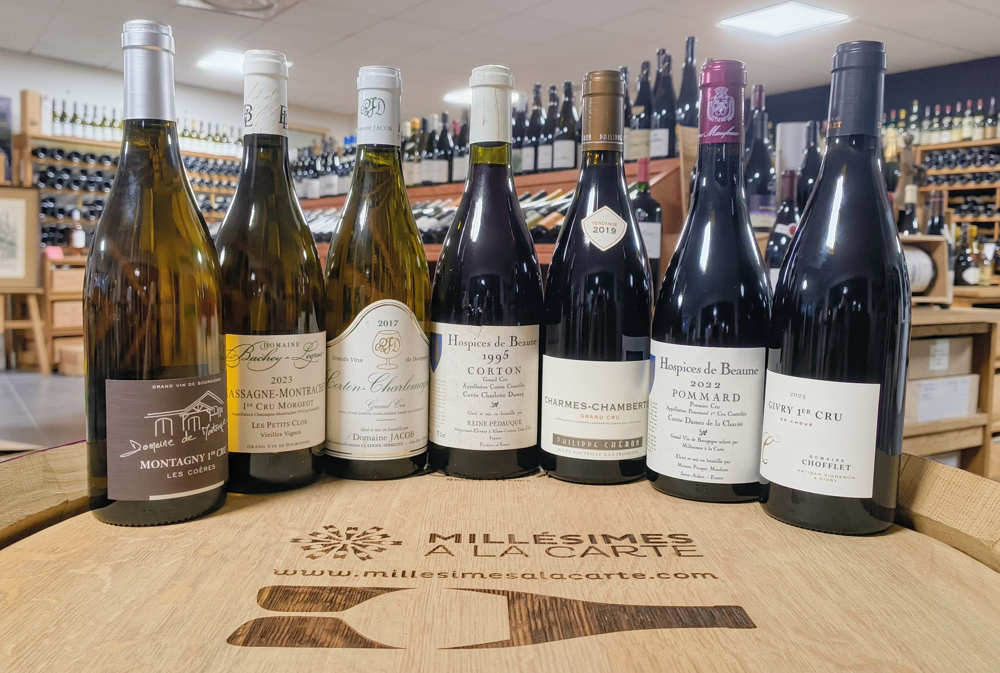 IMG_20250919_201045334 (1)~2