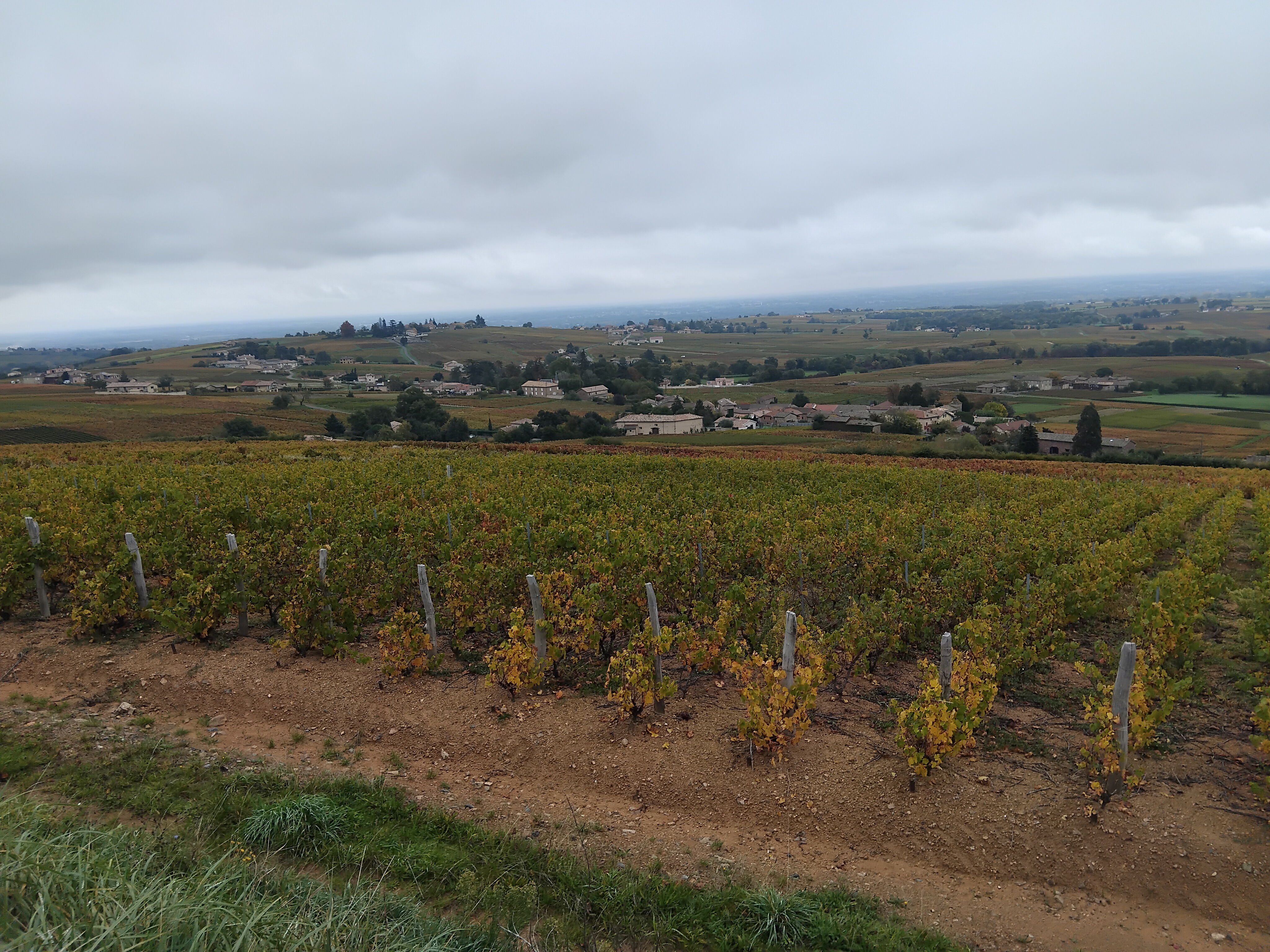 La Vremontoise