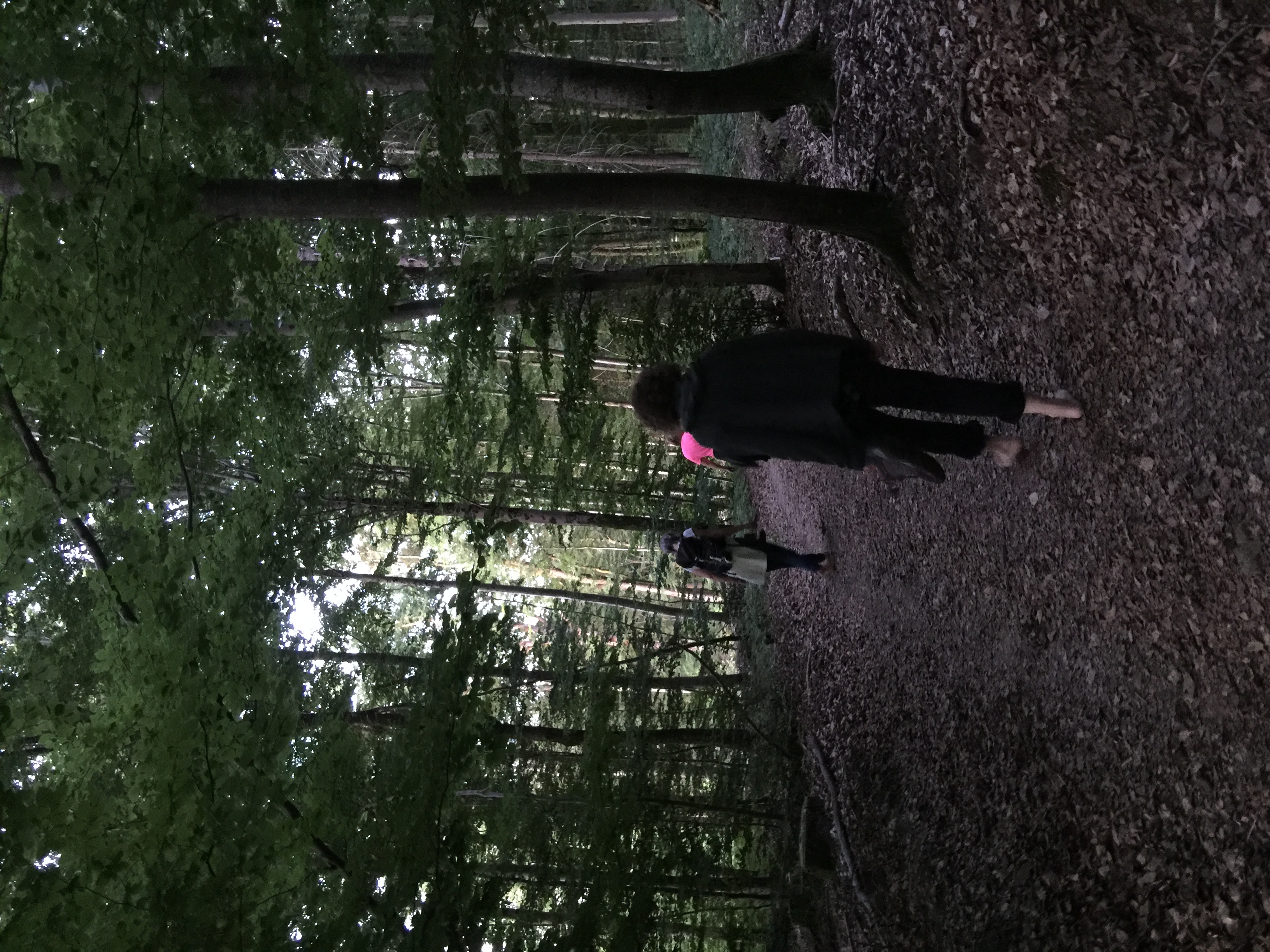 Bain de forêt nocturne