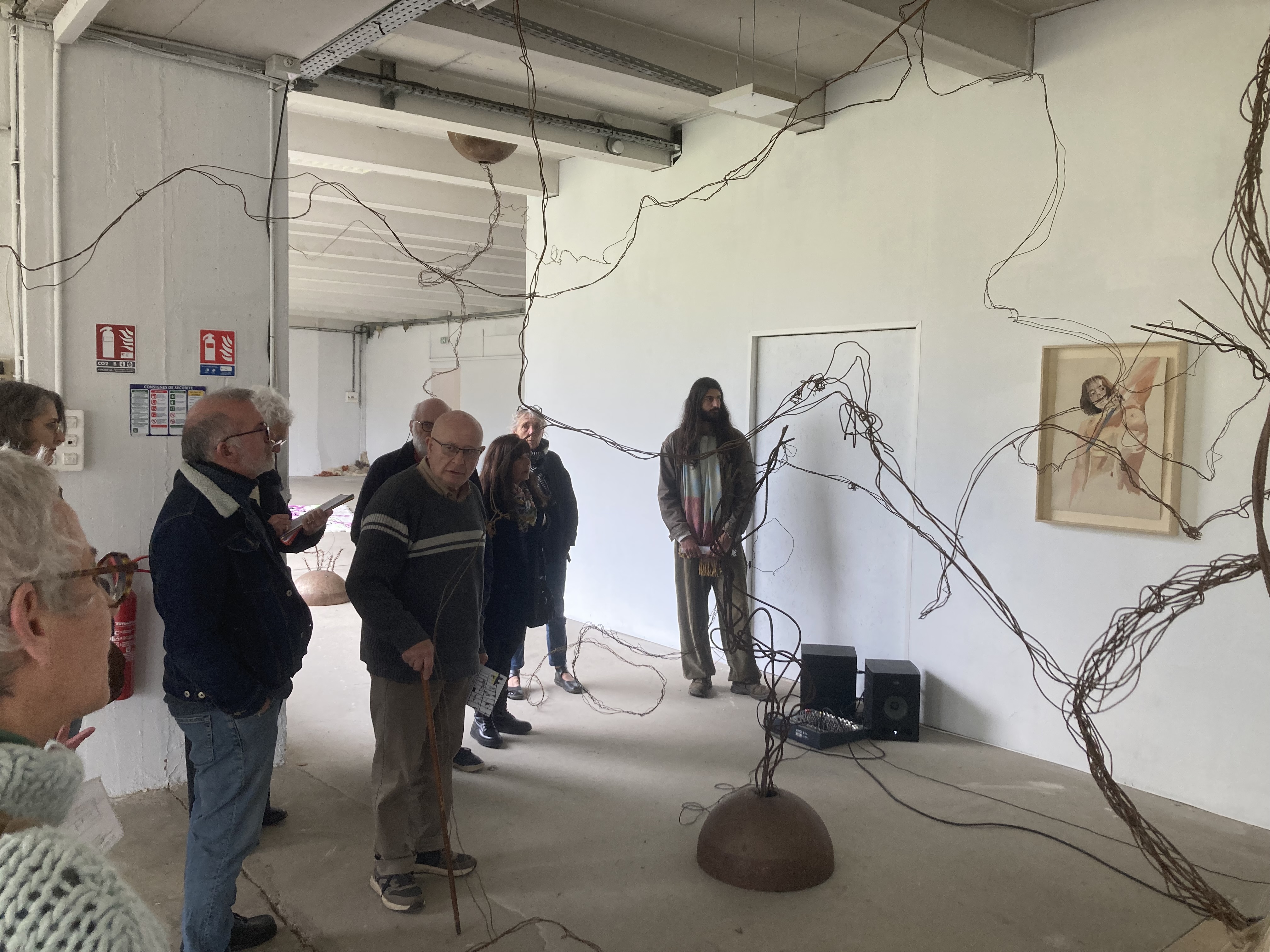 Médiation de l'exposition Altérations Croisées et performance sonore