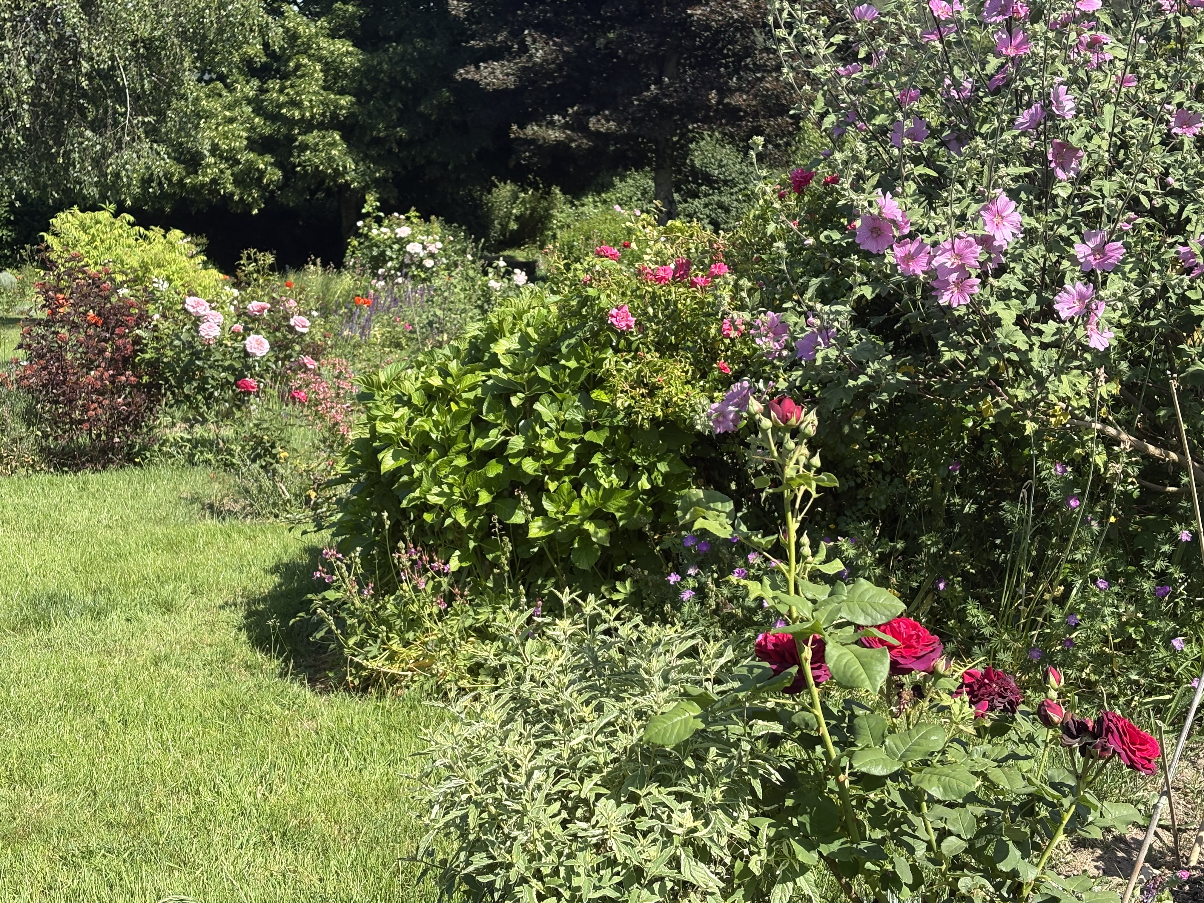 Rendez-vous aux jardins : le jardin du Poivre