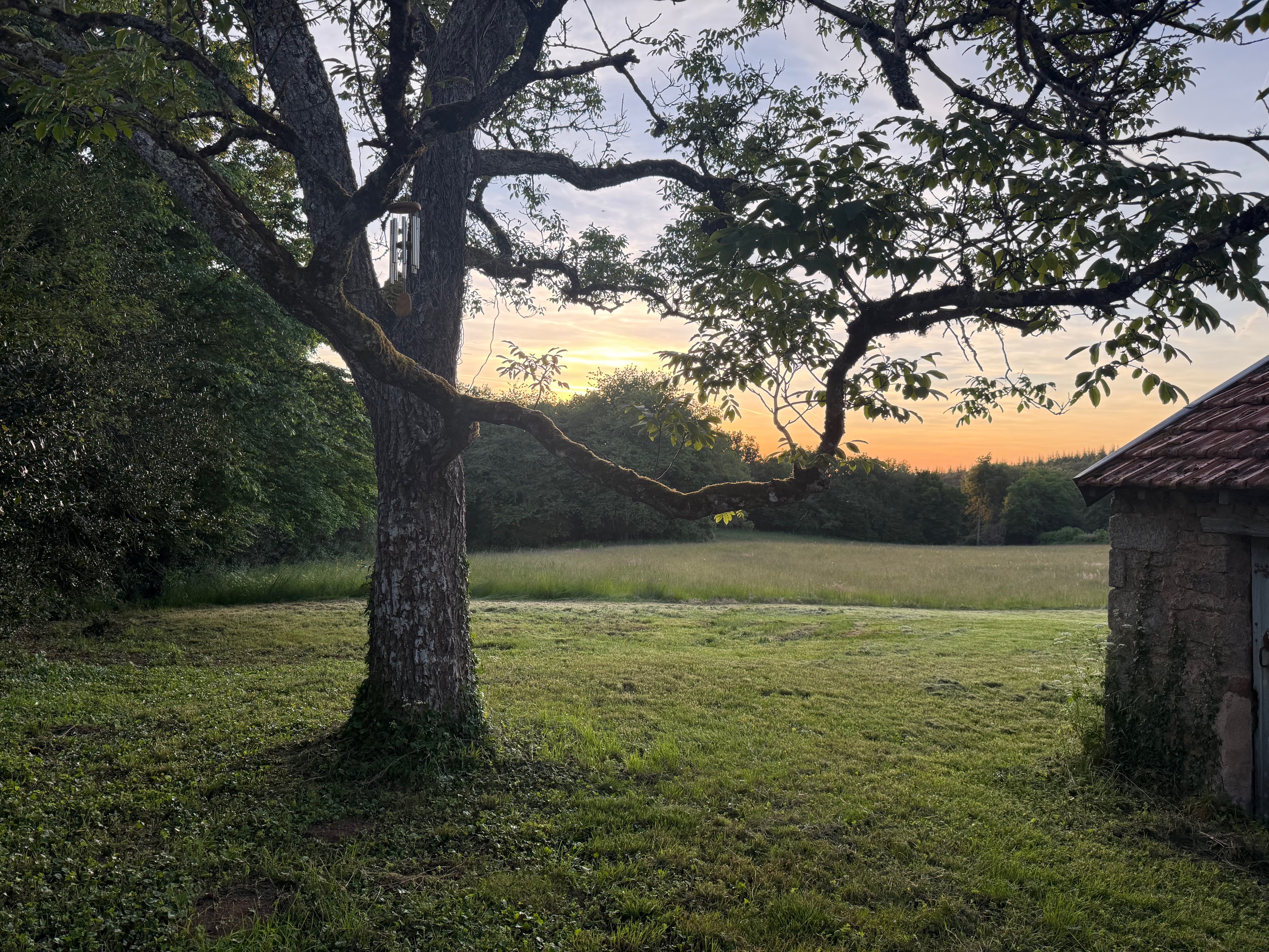 Site des concerts en plein air été 2025