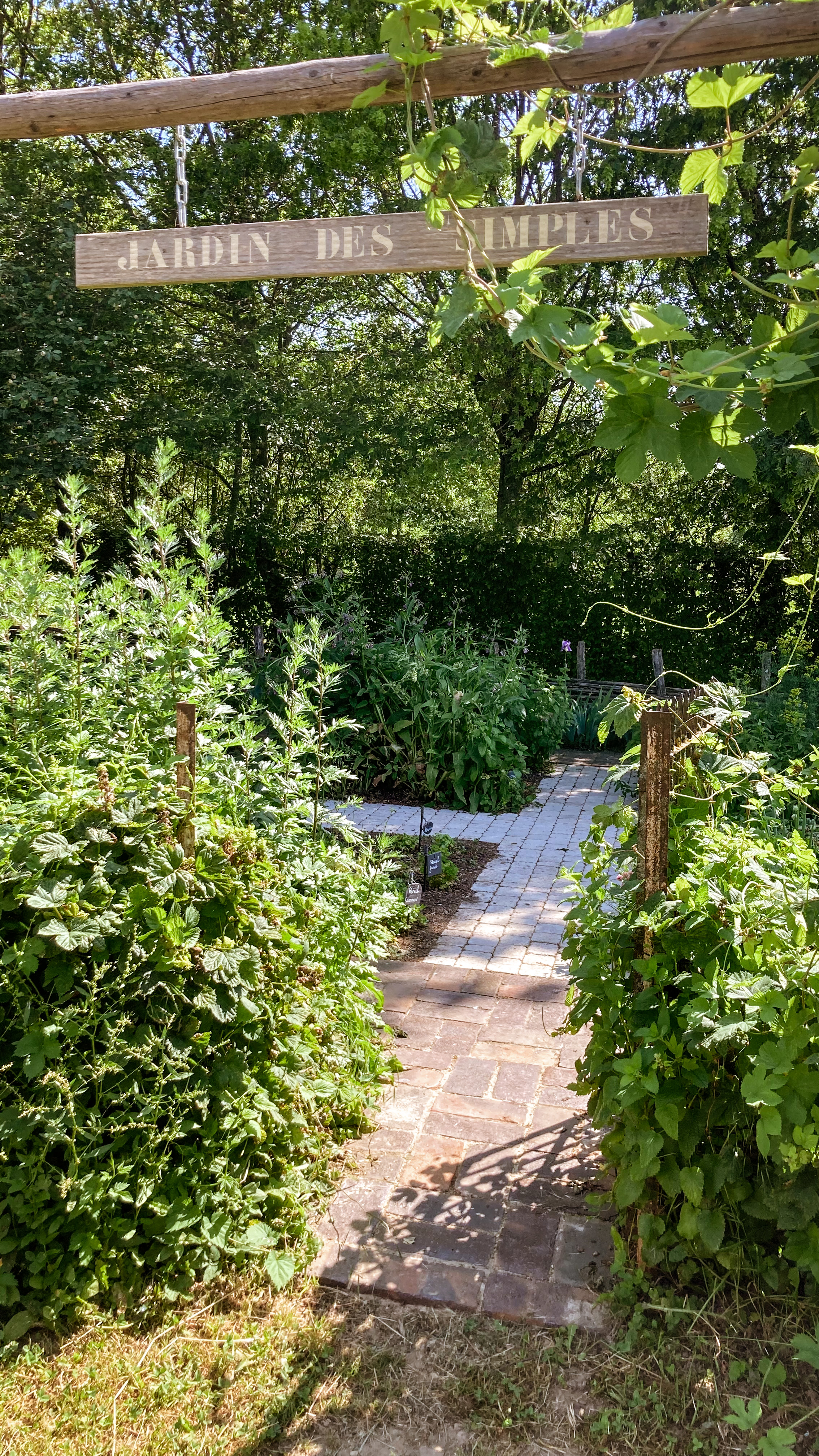 Rendez-vous au jardin : atelier aux verts