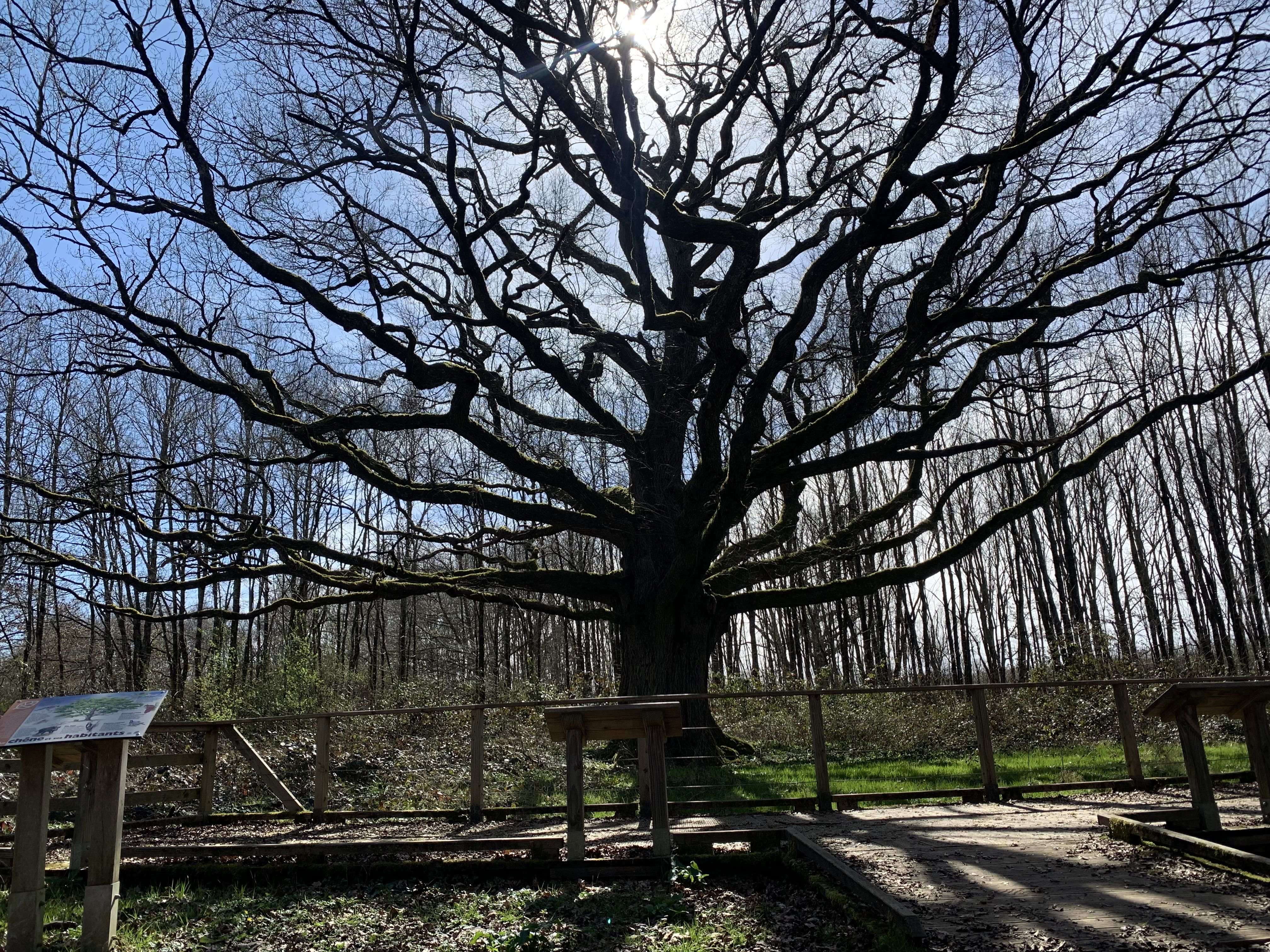 Arche de la Biodiversité