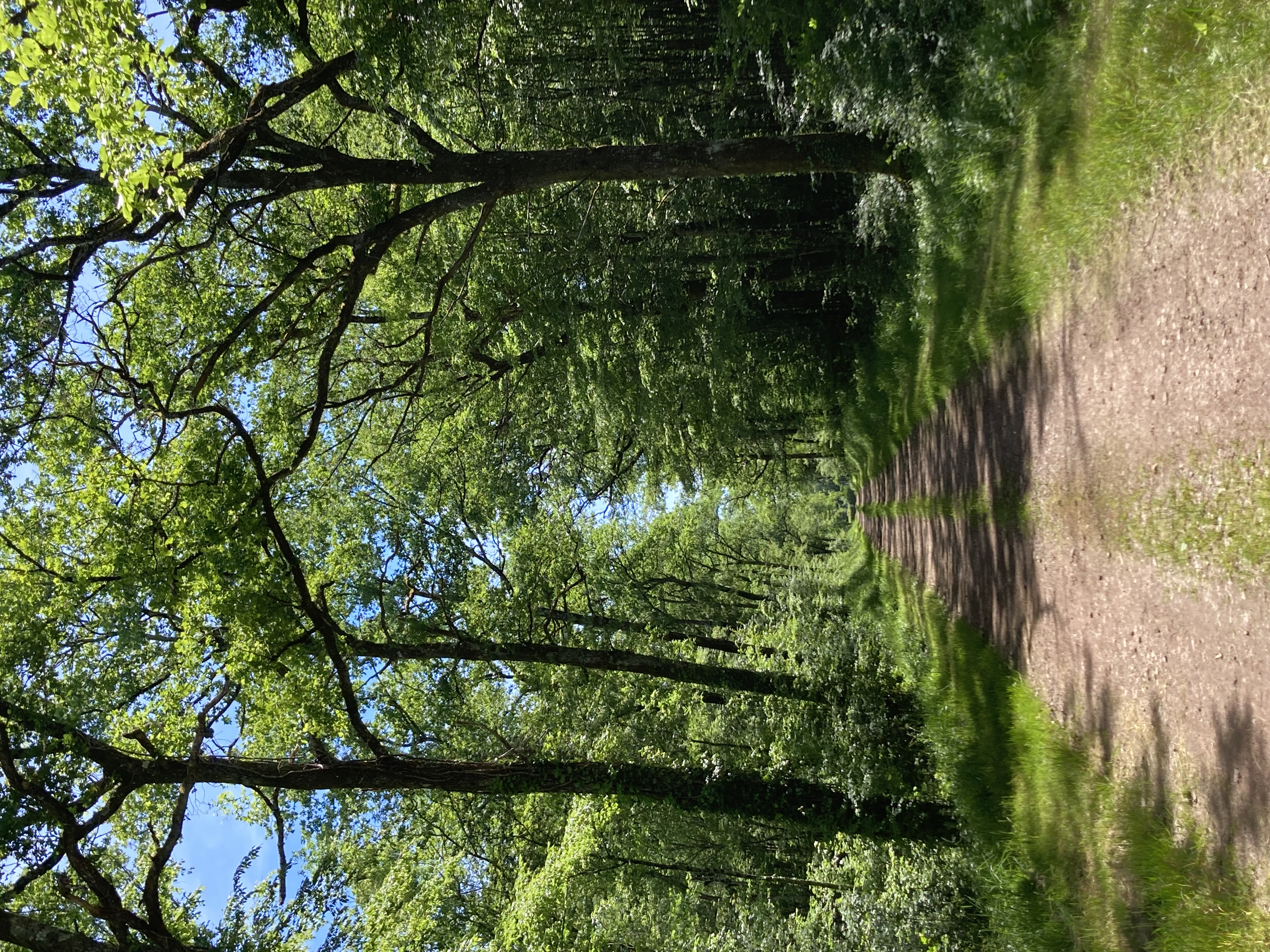 Découverte : Balade du Tacot