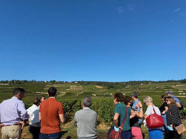 visite vignoble de Beaune
