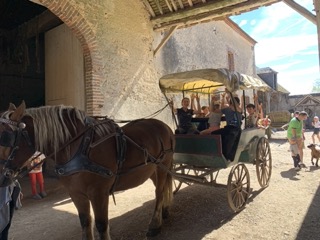 FERME DU CHATEAU - STAGE CALÈCHE