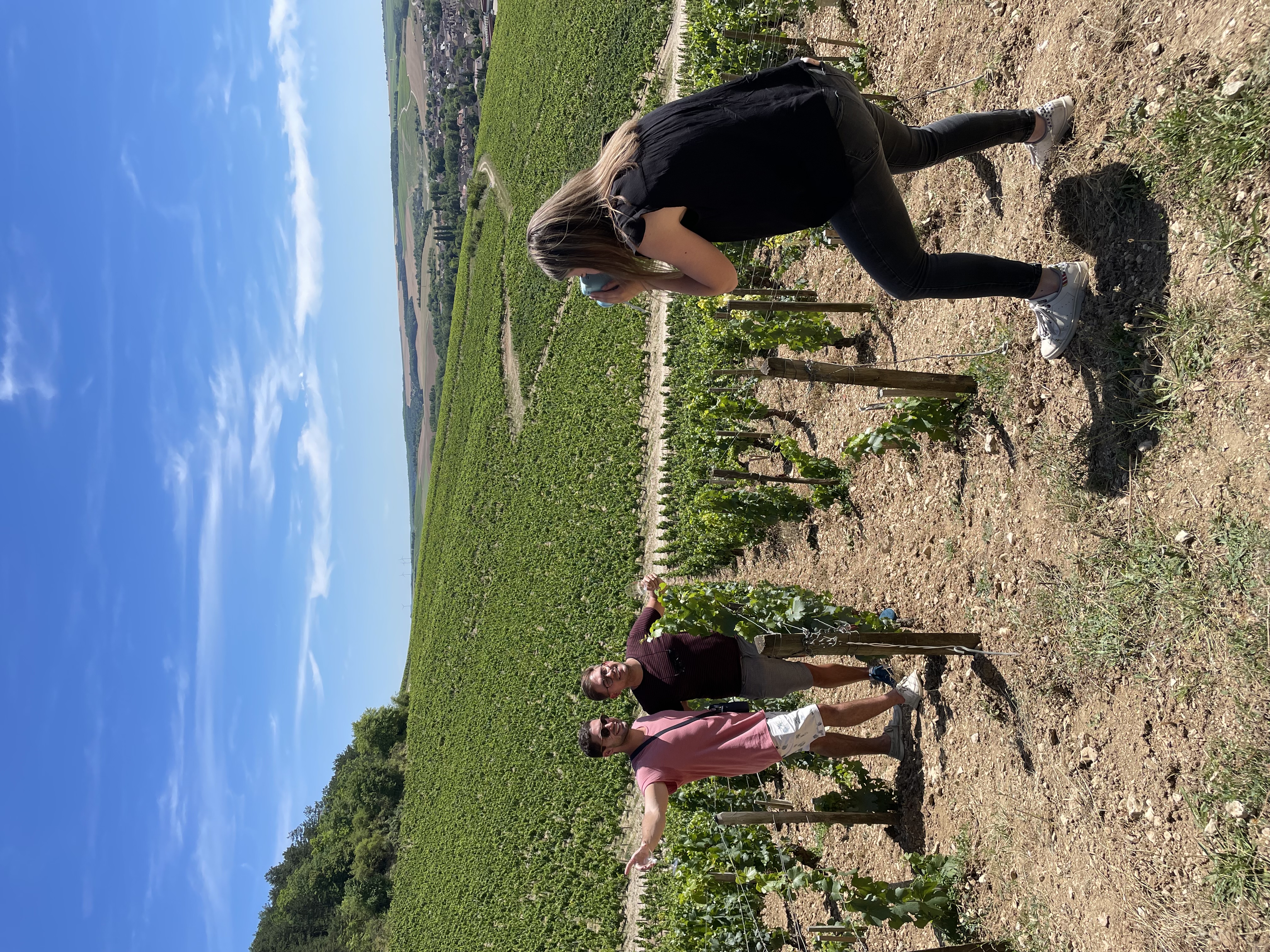Domaine Clothilde Davenne