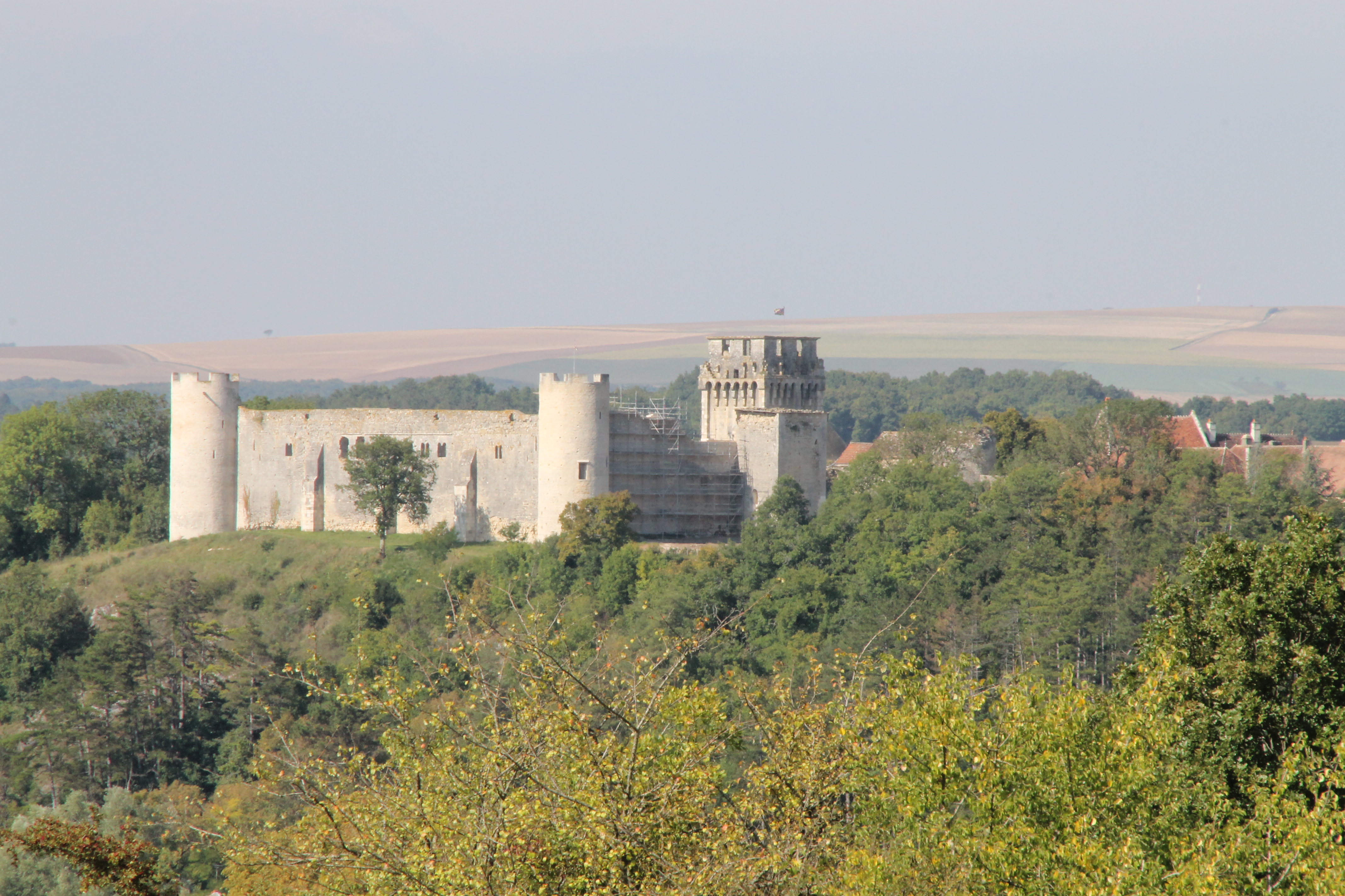 Le château de Druyes