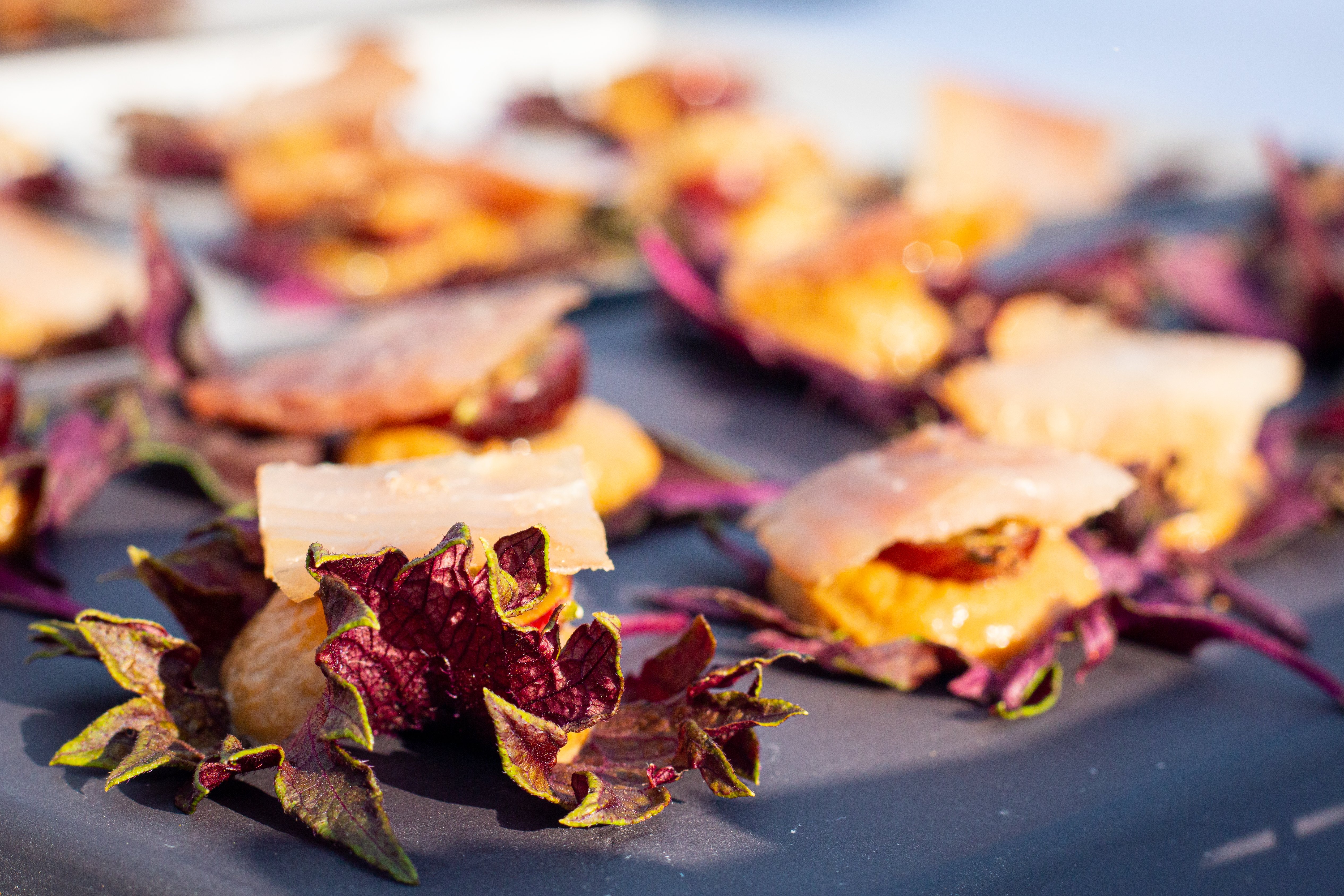 BOUCHEES APERITIVES DINER 2023