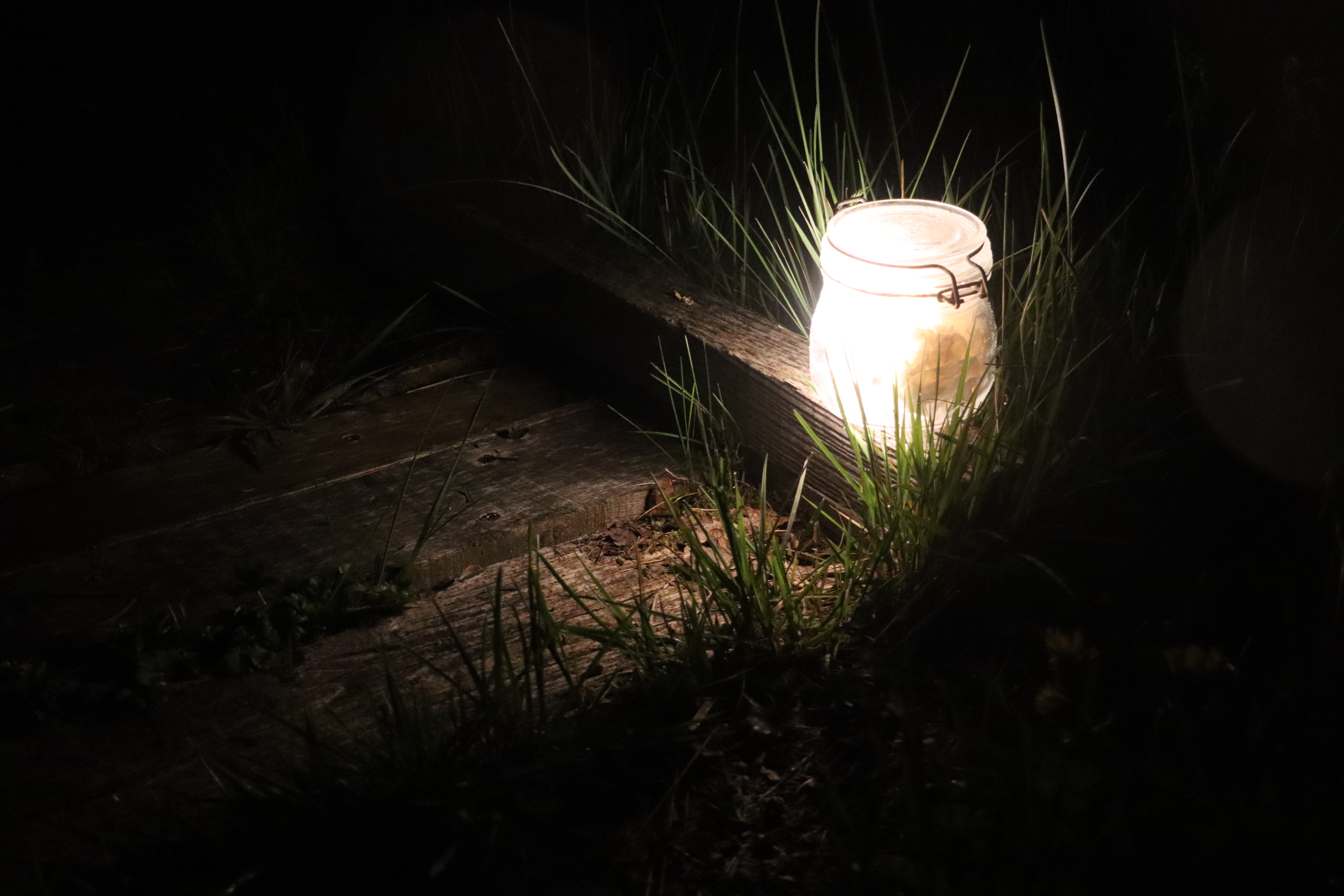 bal(l)ade nocturne