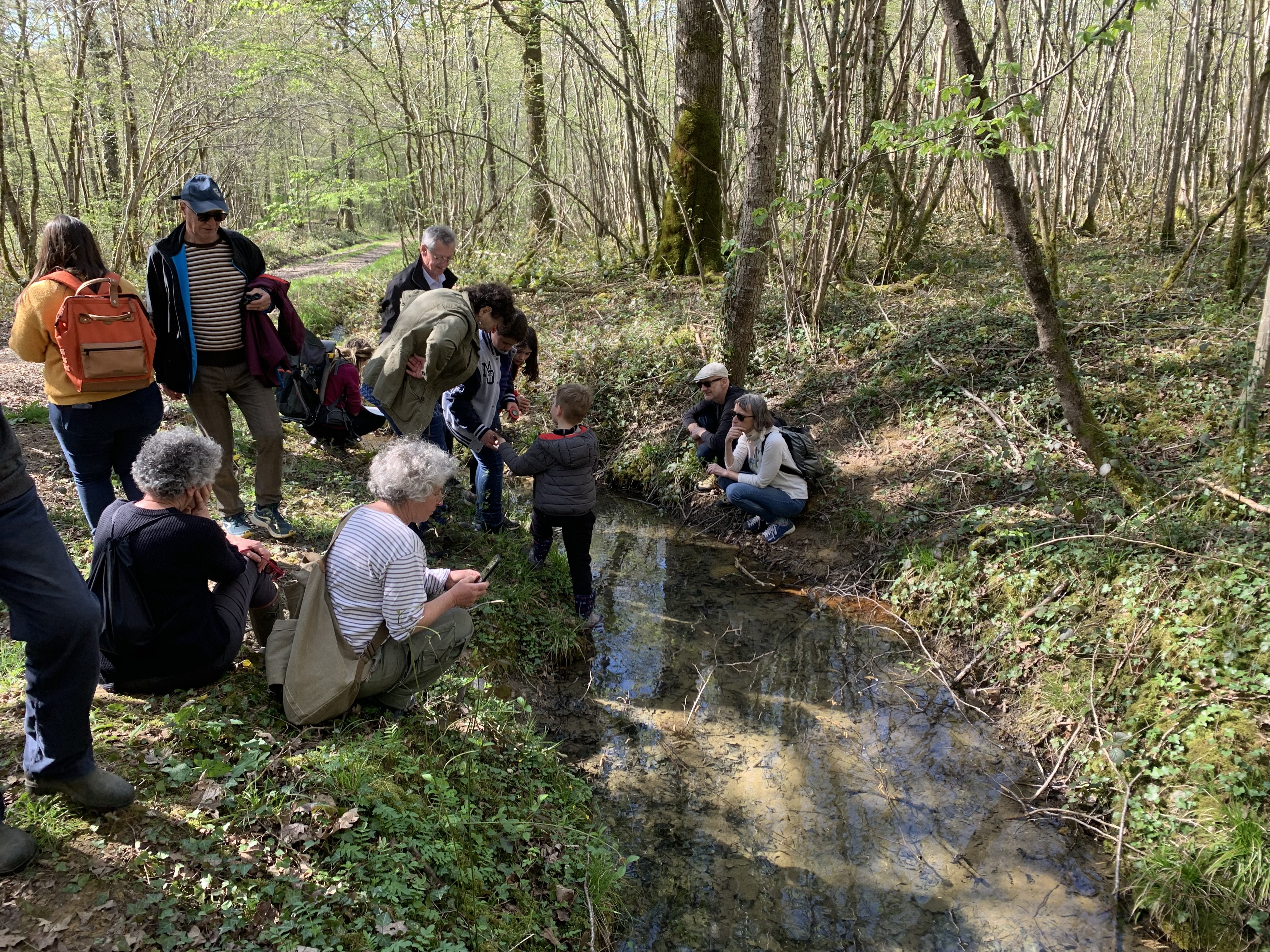 Sortie nature : Éloge de la biodiversité forestière en nocturne