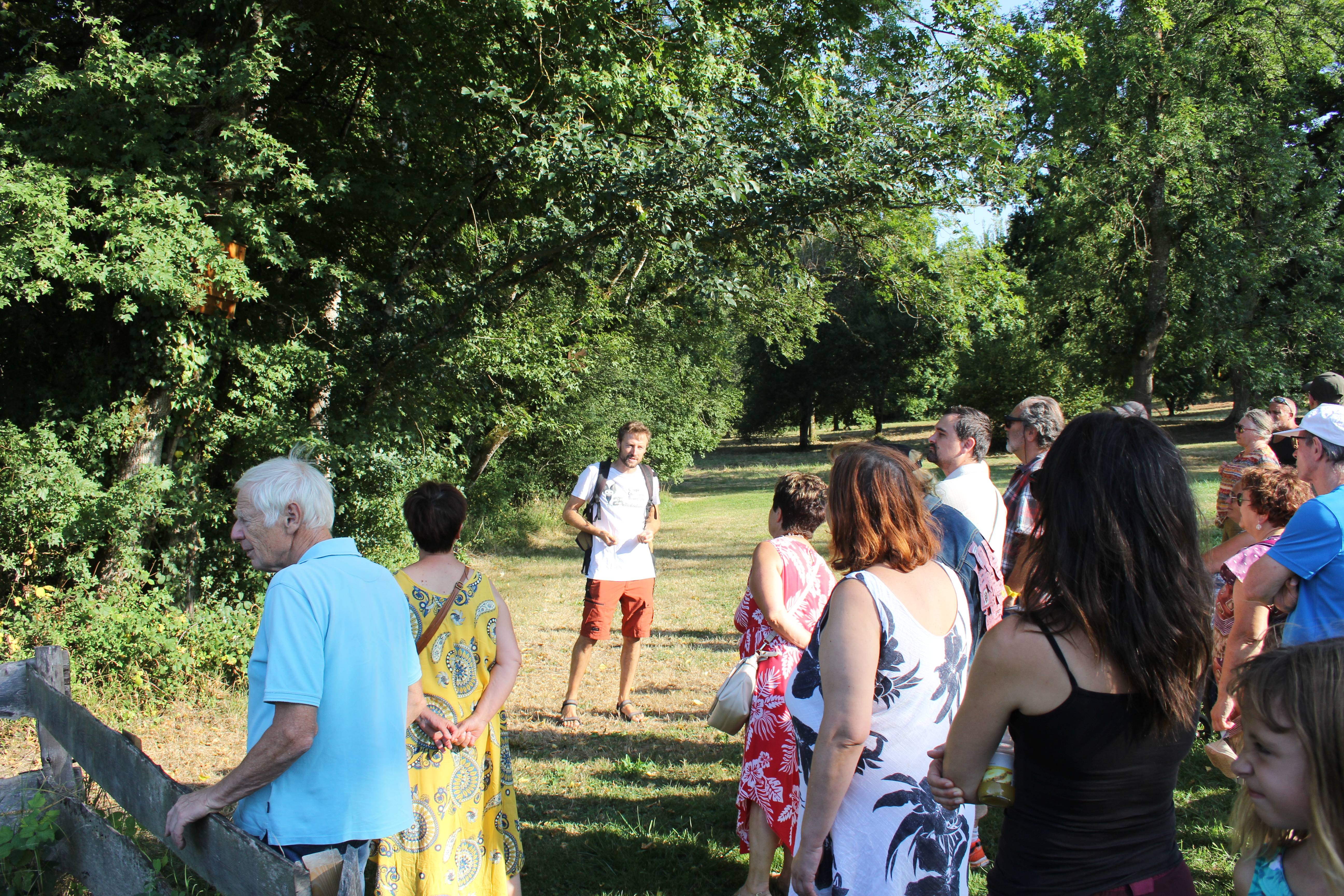 Nuit de la chauve-souris