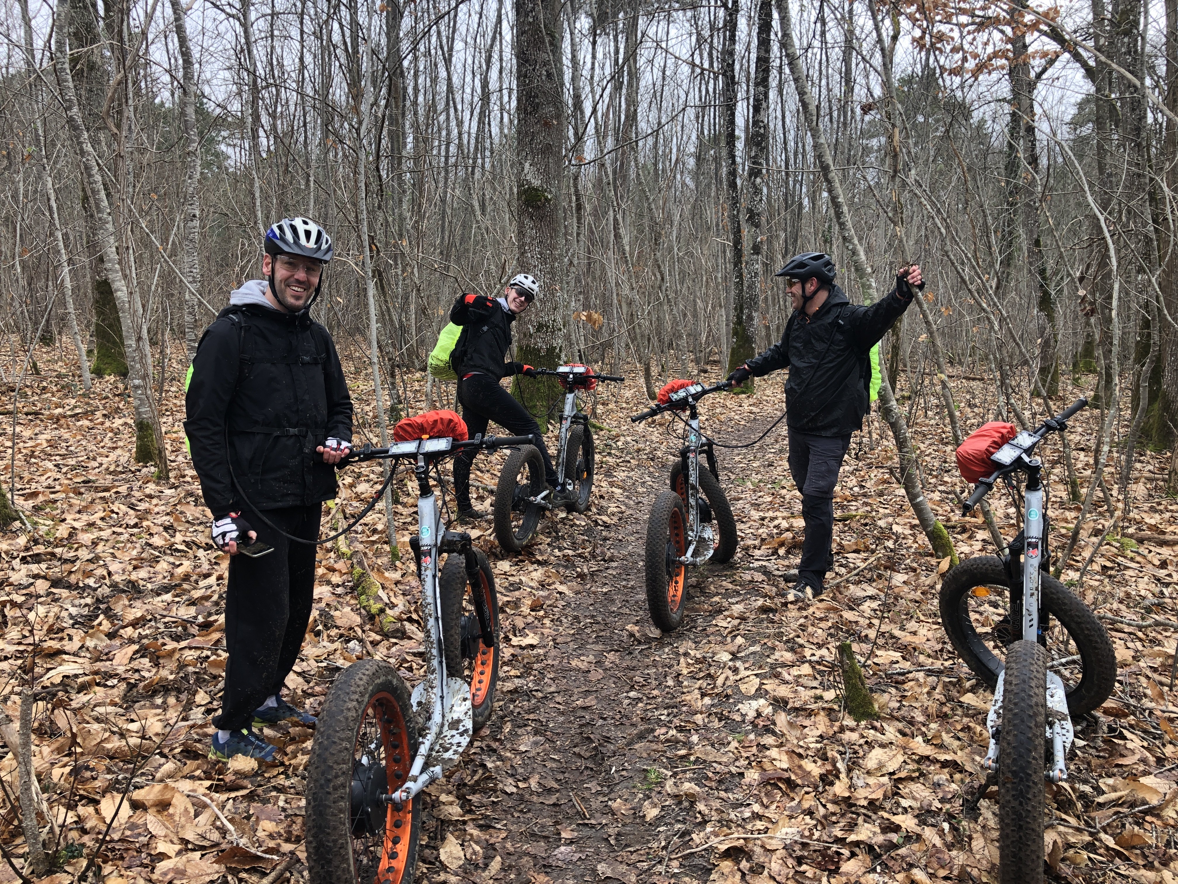 BALADE EN E-TROTT foret