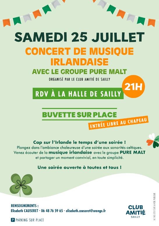 Concert de musique irlandaise