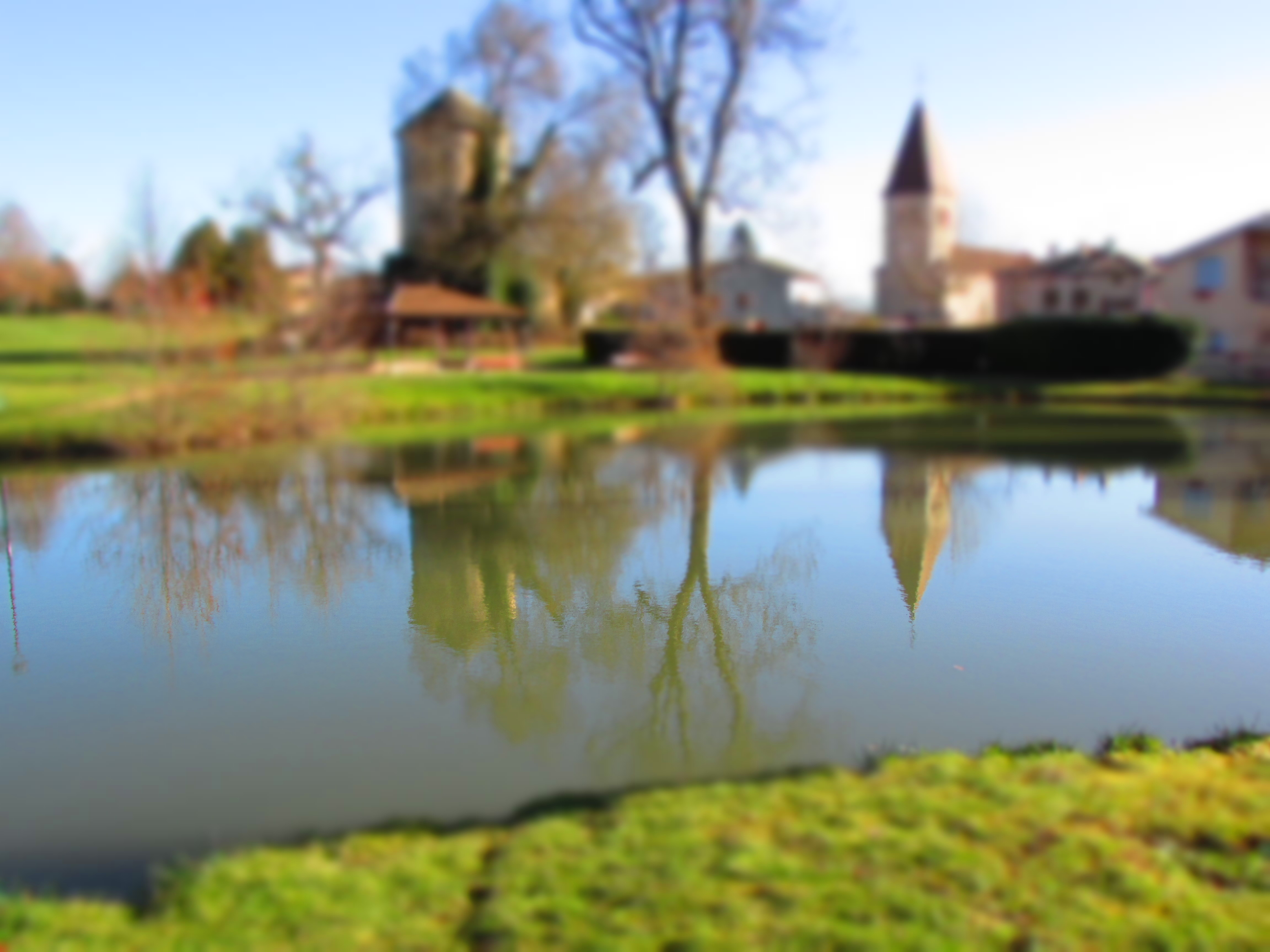 Le parc de Sennecé