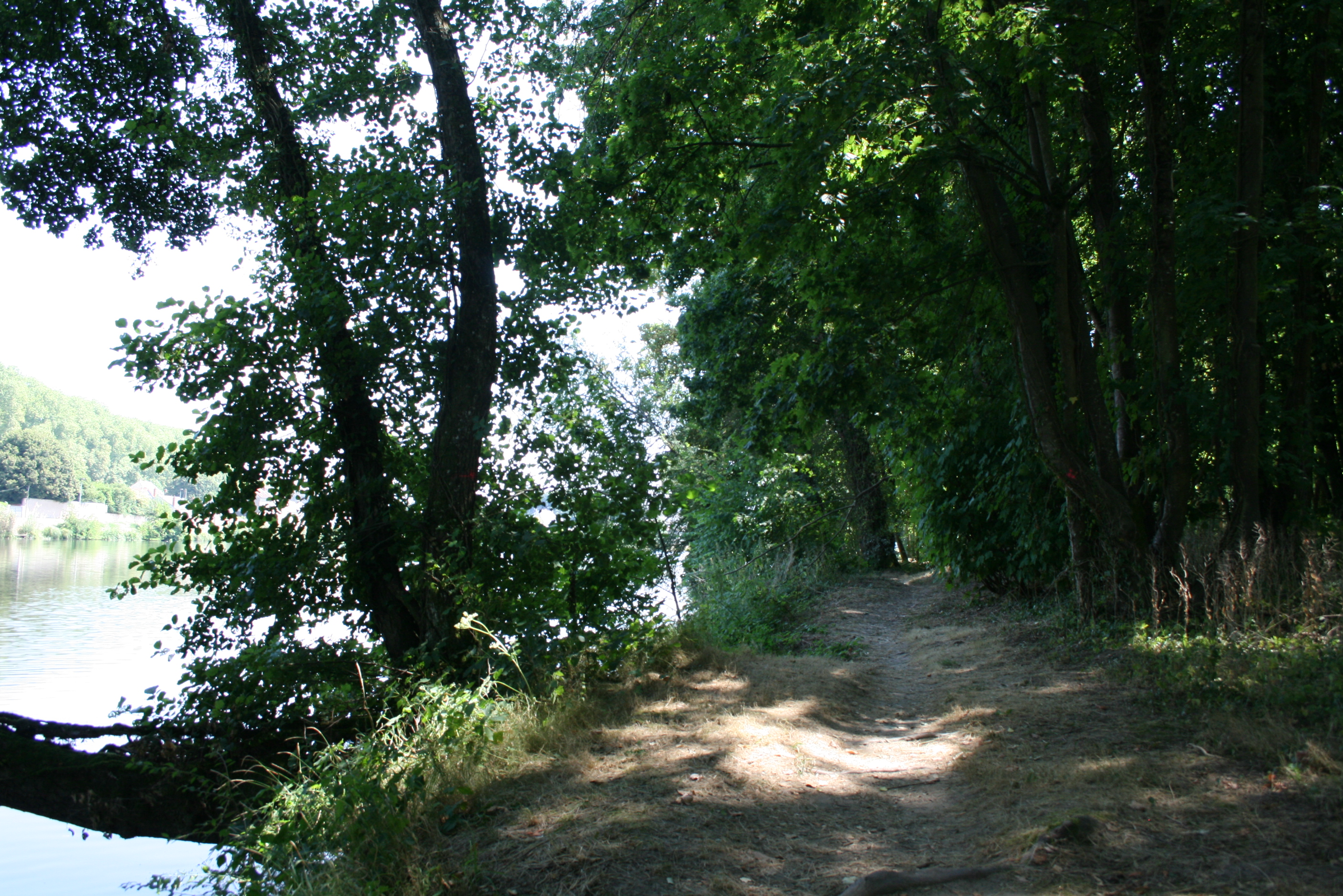 Decize, escale Loire, Decize - photo 5