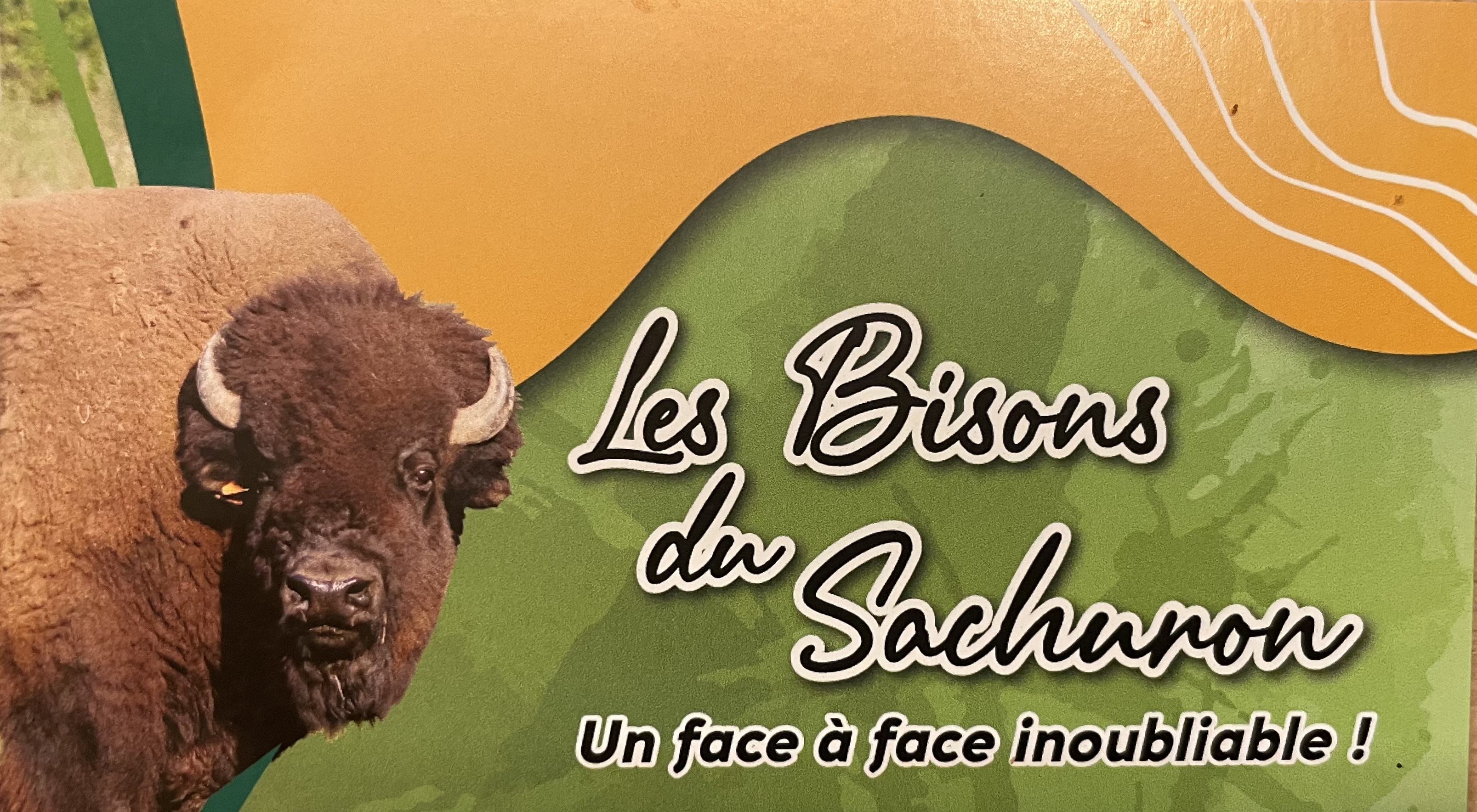 Un dimanche à la ferme - Les bisons du sachuron
