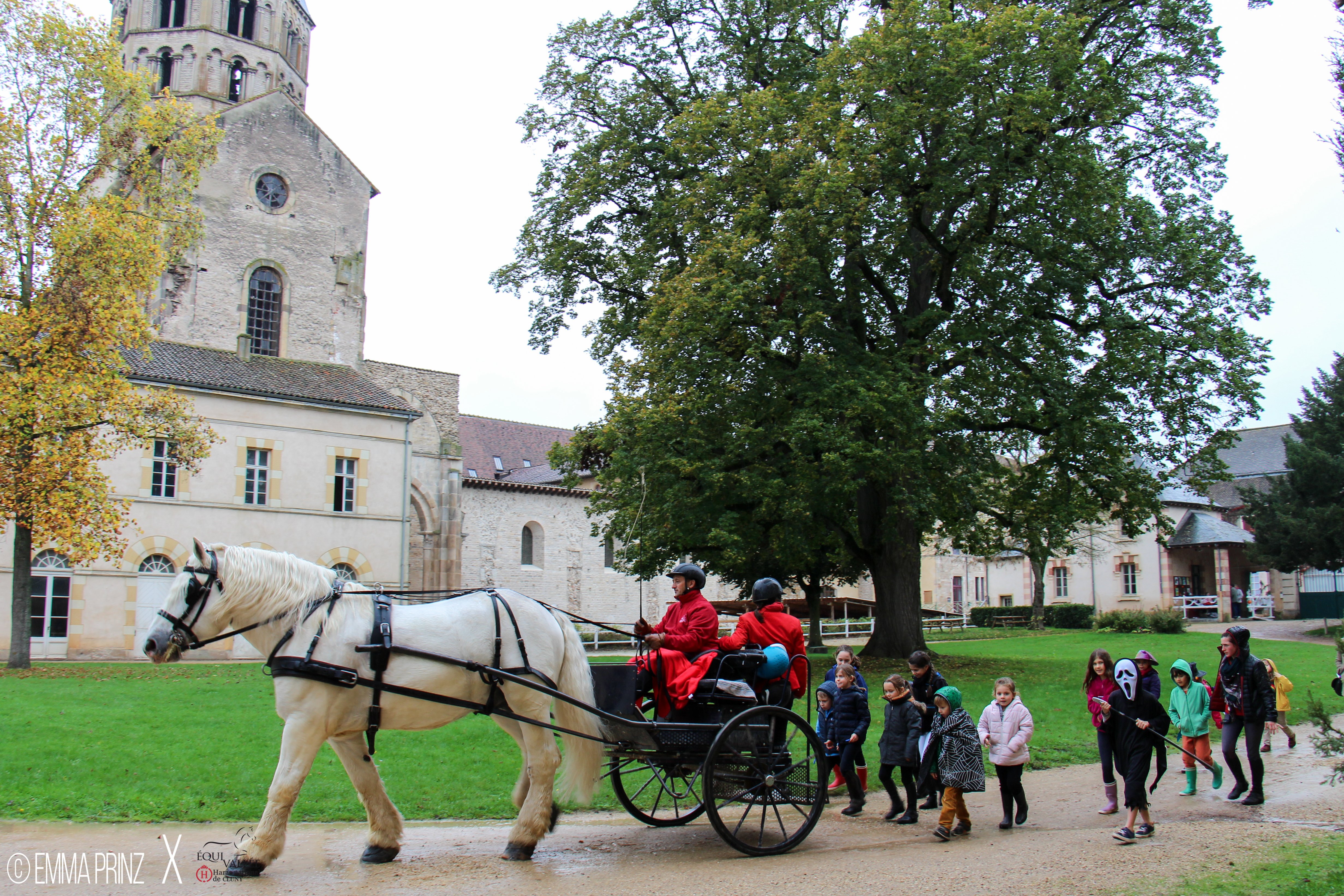 Halloween au Haras de Cluny