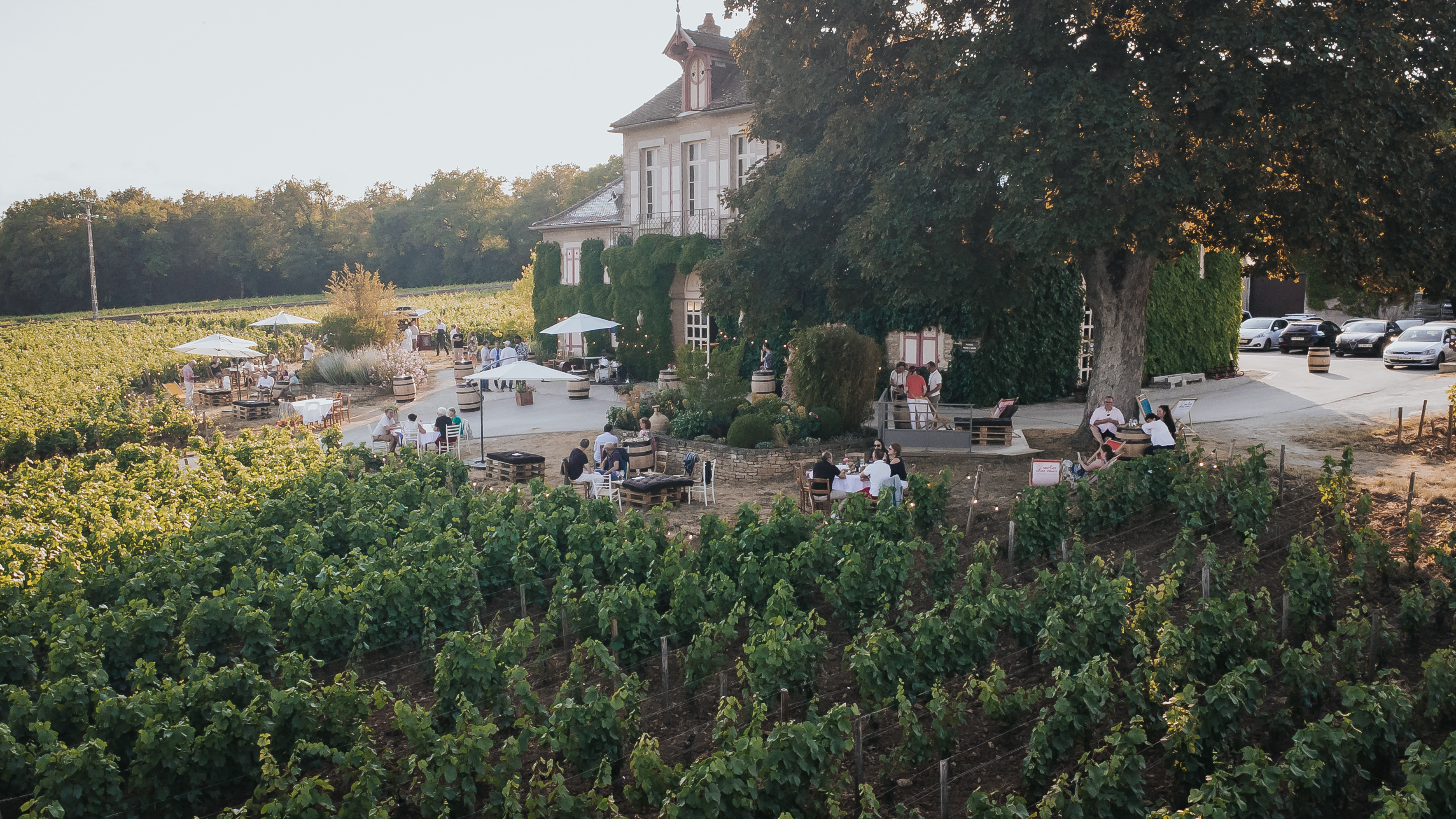Musique et Vins au Clos des Langres