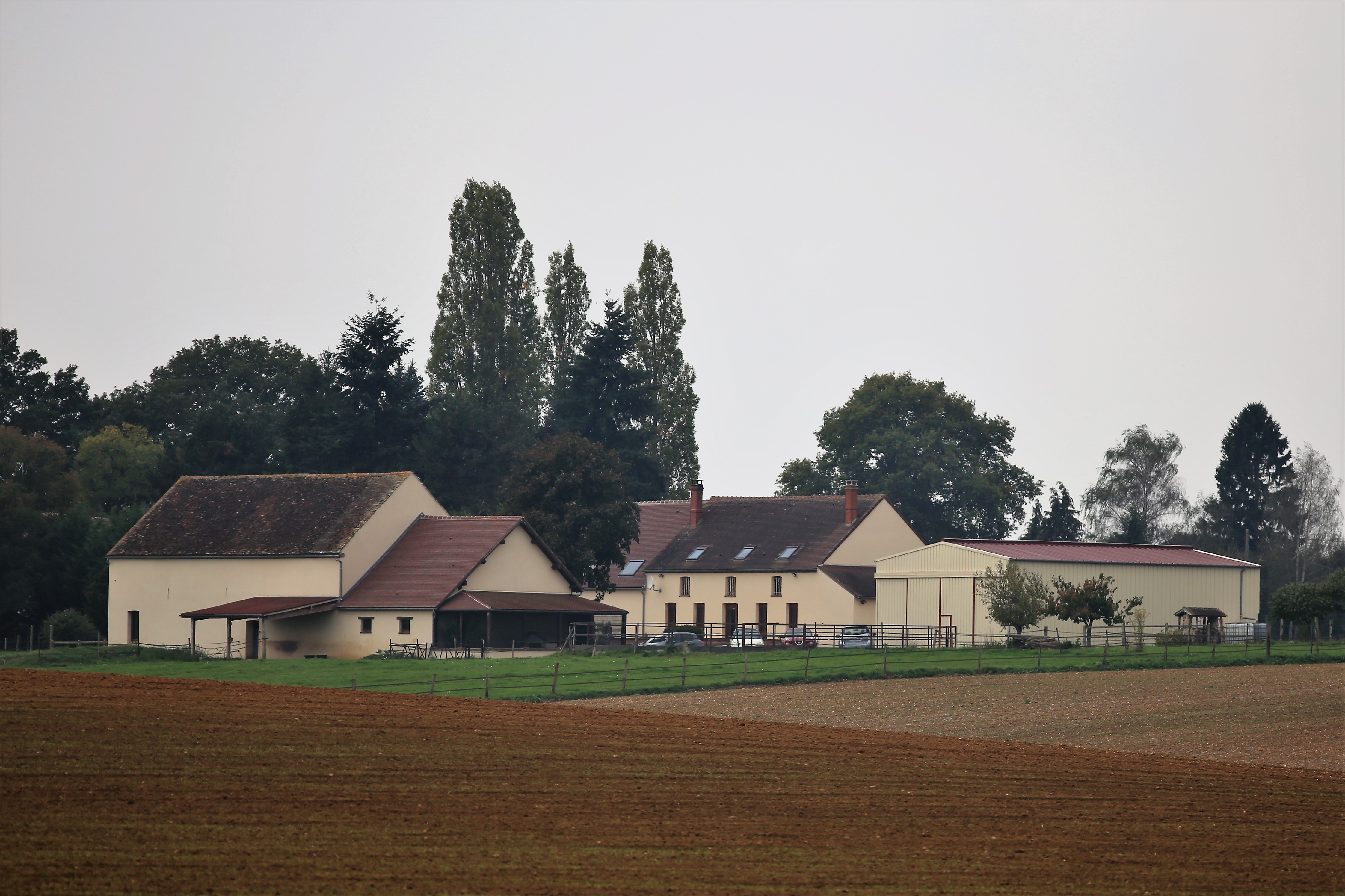 Le Petit Biguereaux