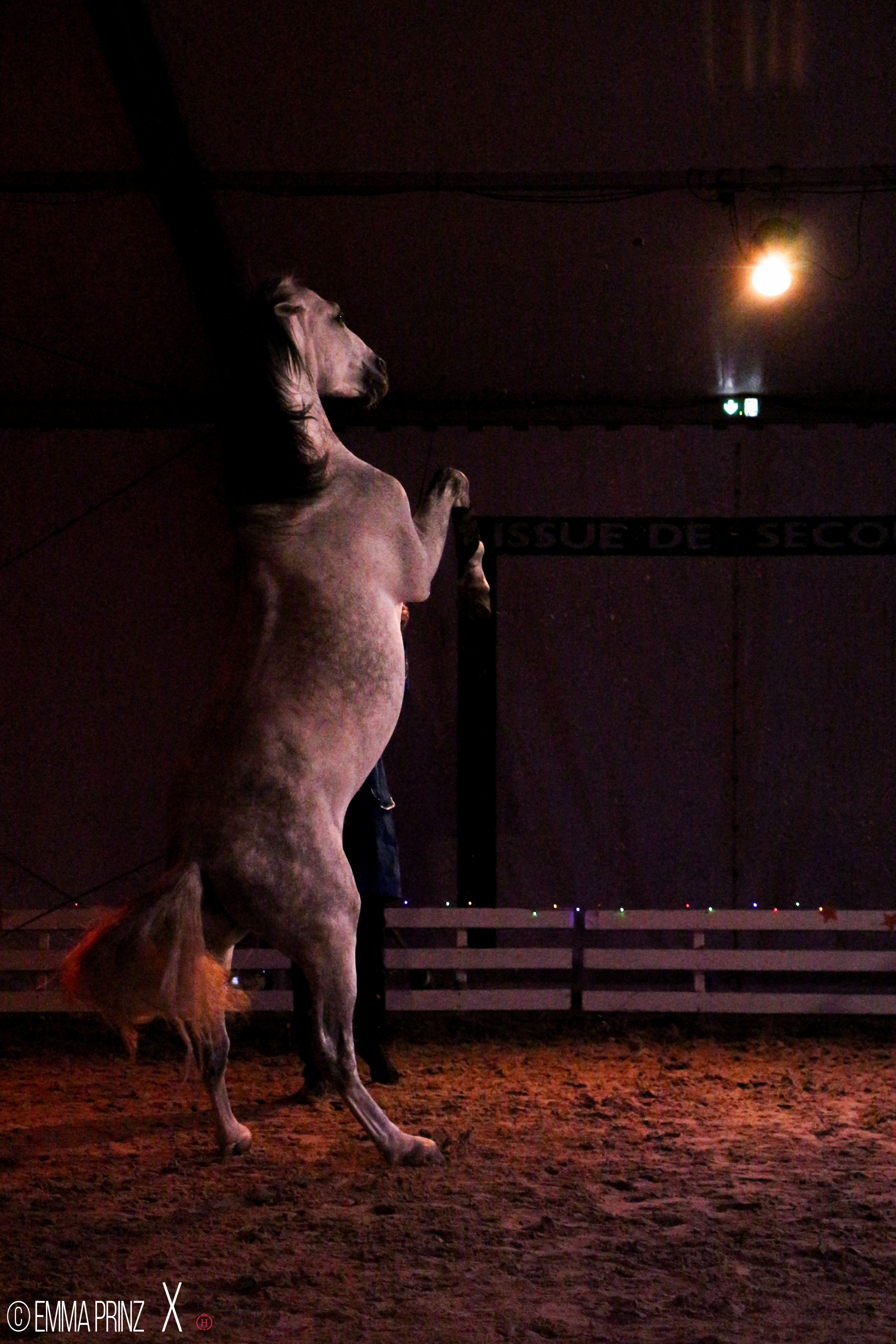 Spectacle de Noël
