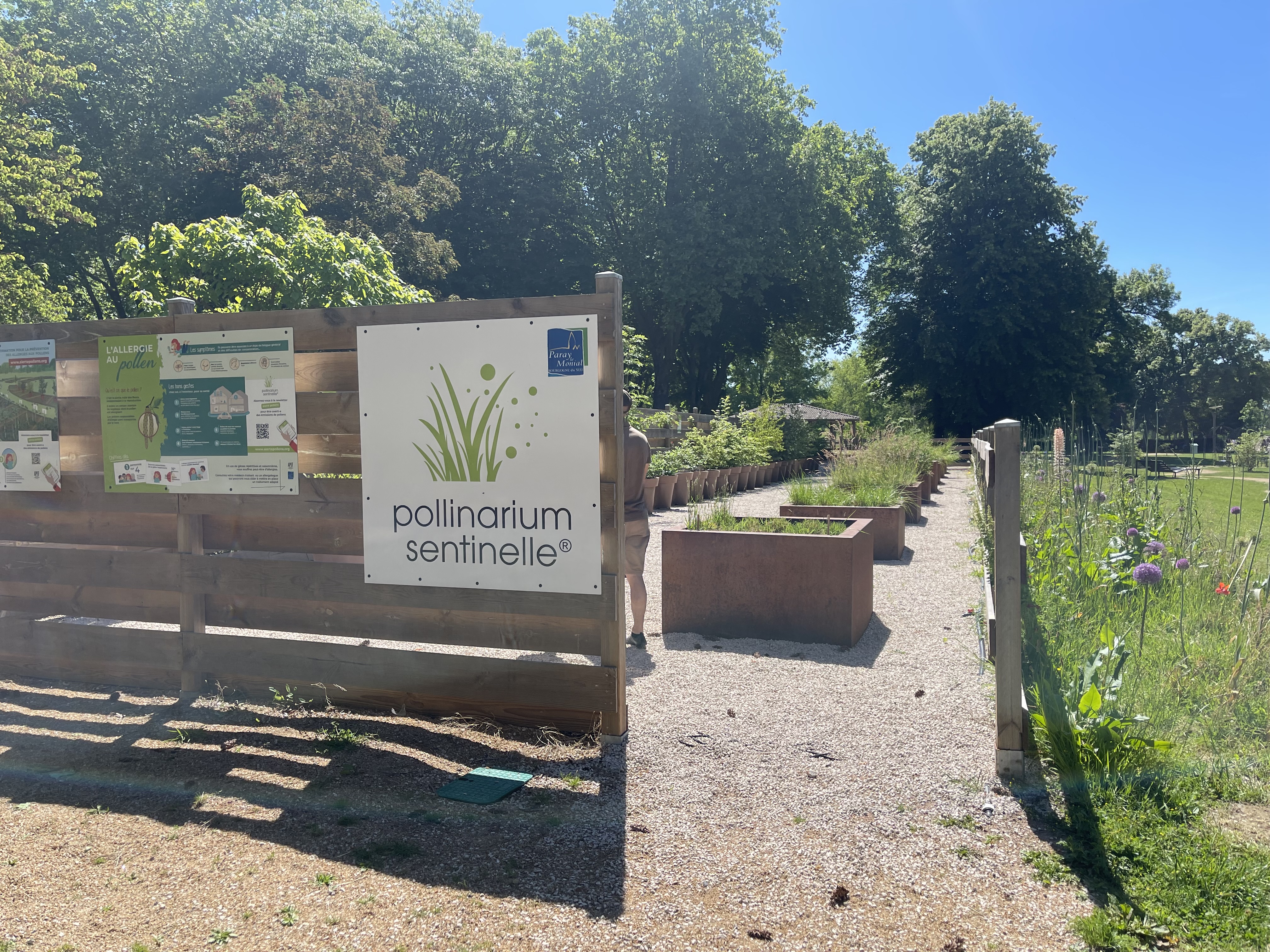 Rendez-vous aux jardins - Les végétaux à la loupe