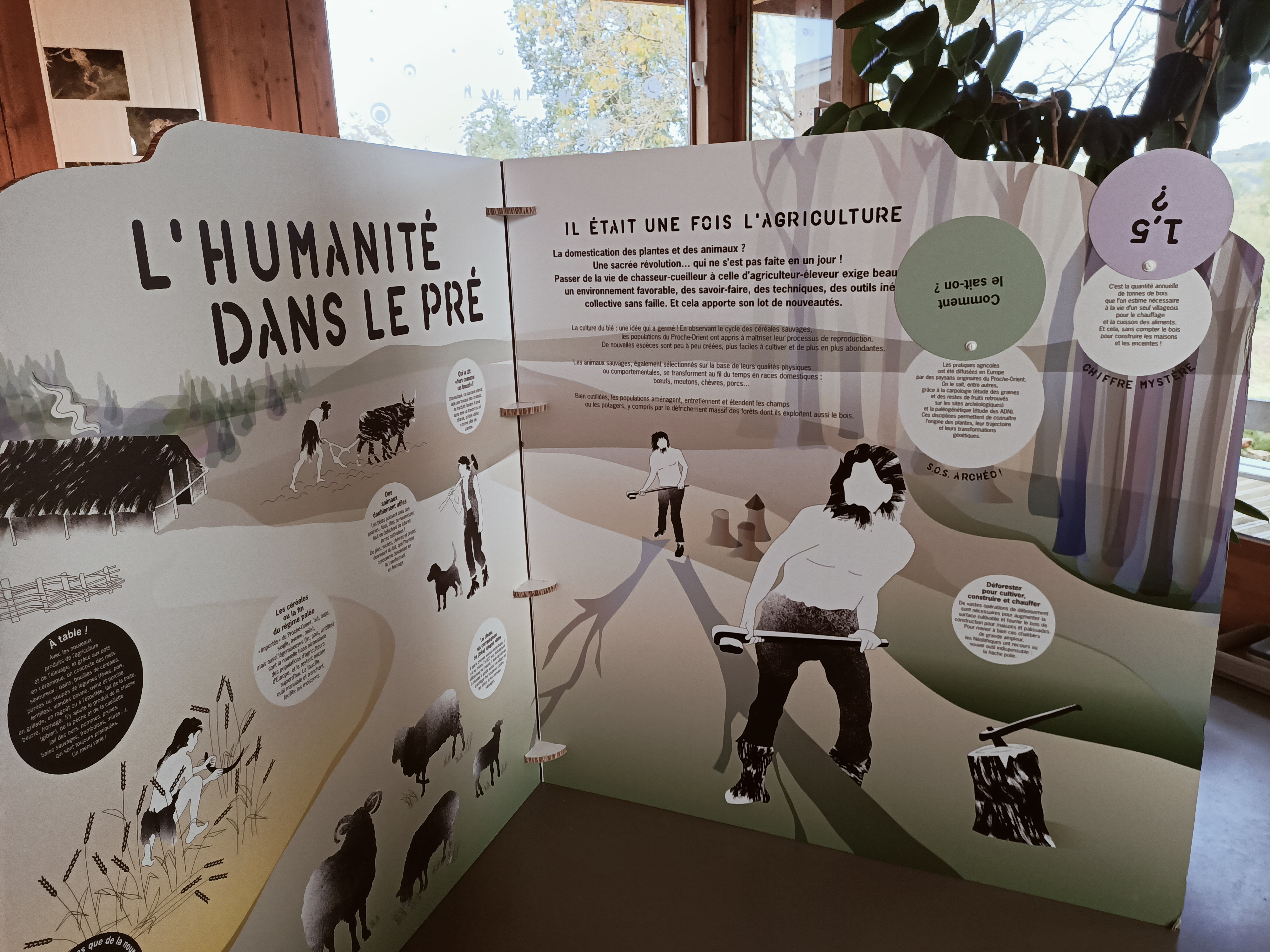 Archéochrono Néolithique