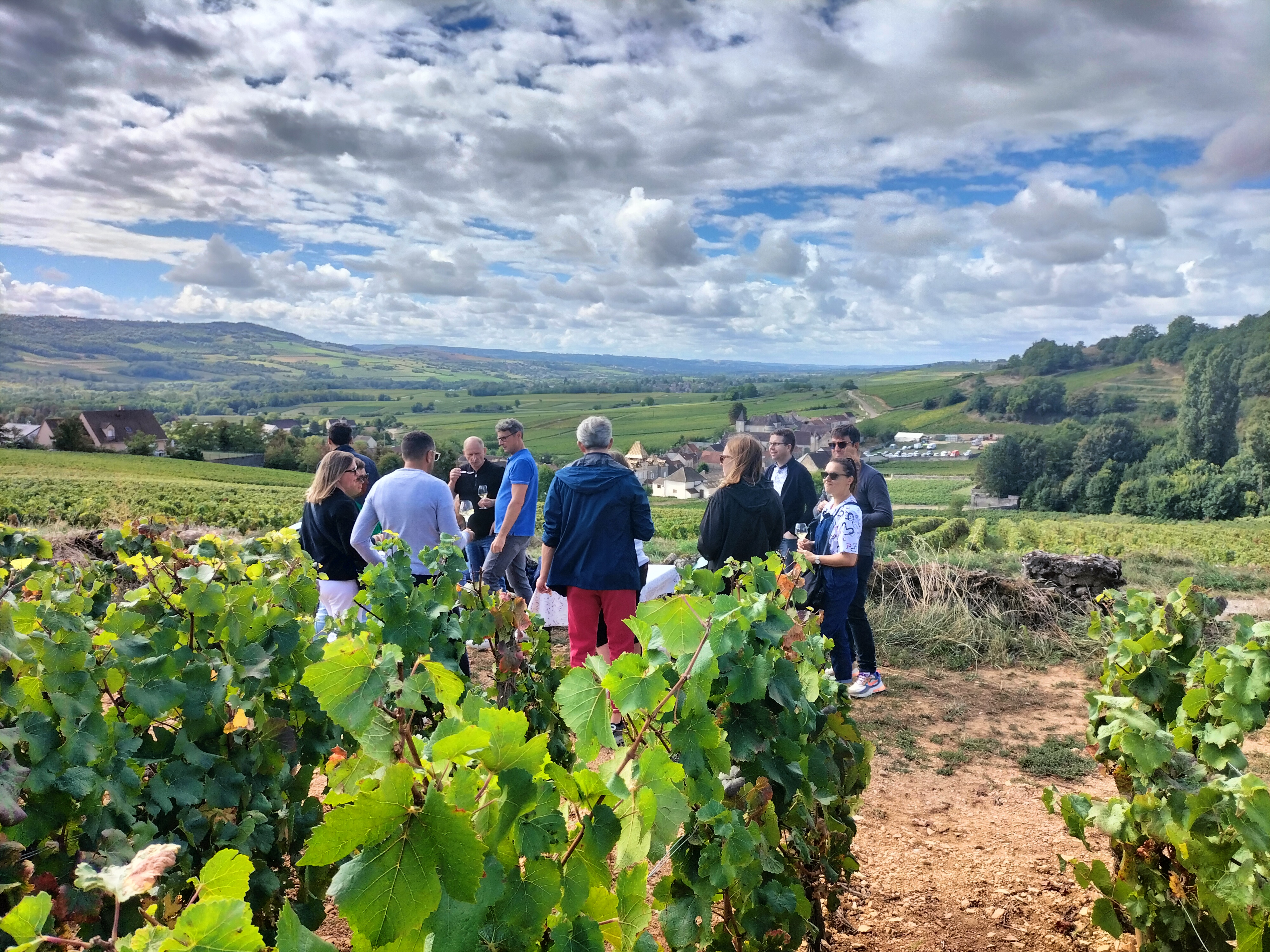 groupe dans les vignes