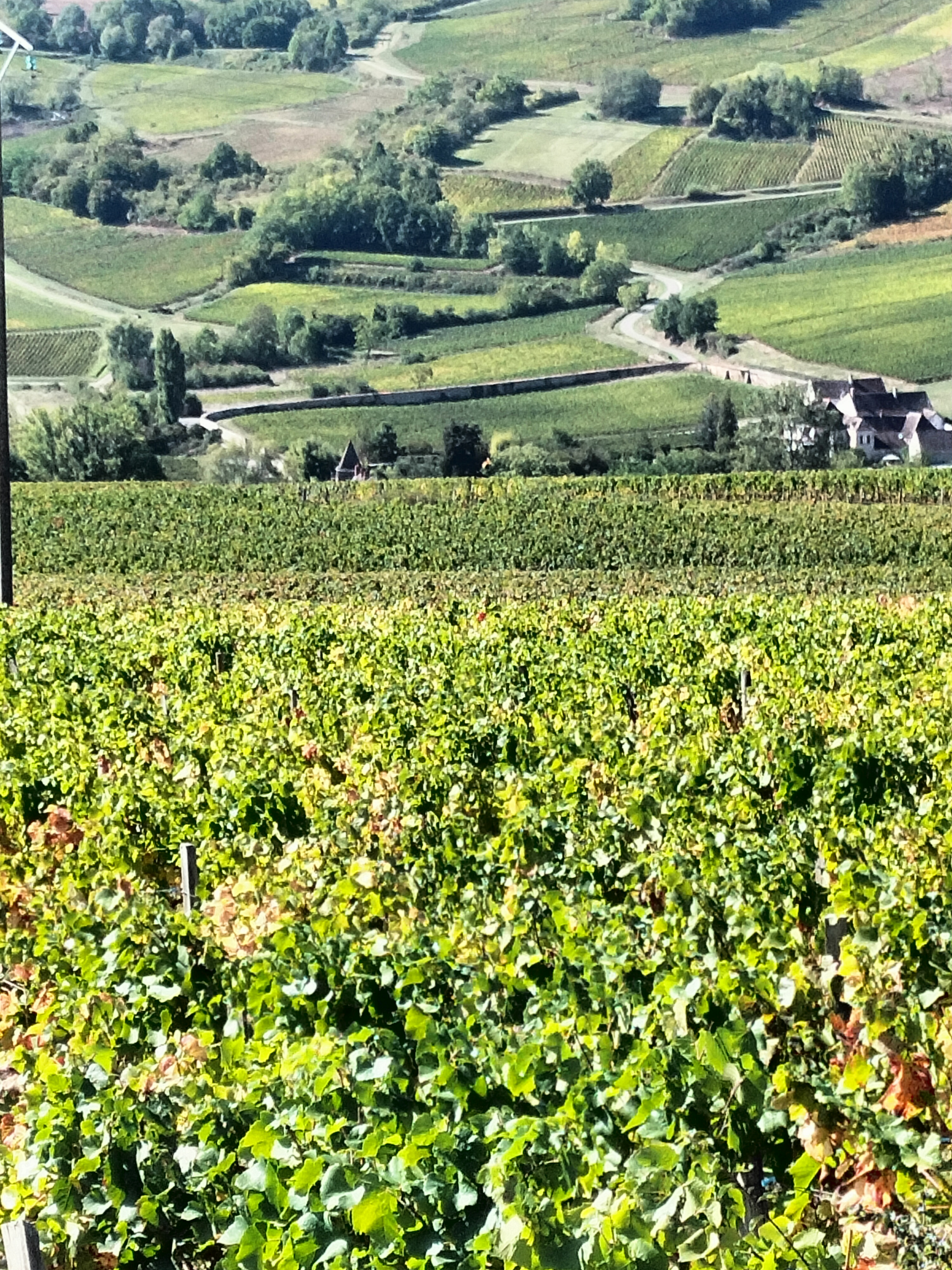 Les Climats