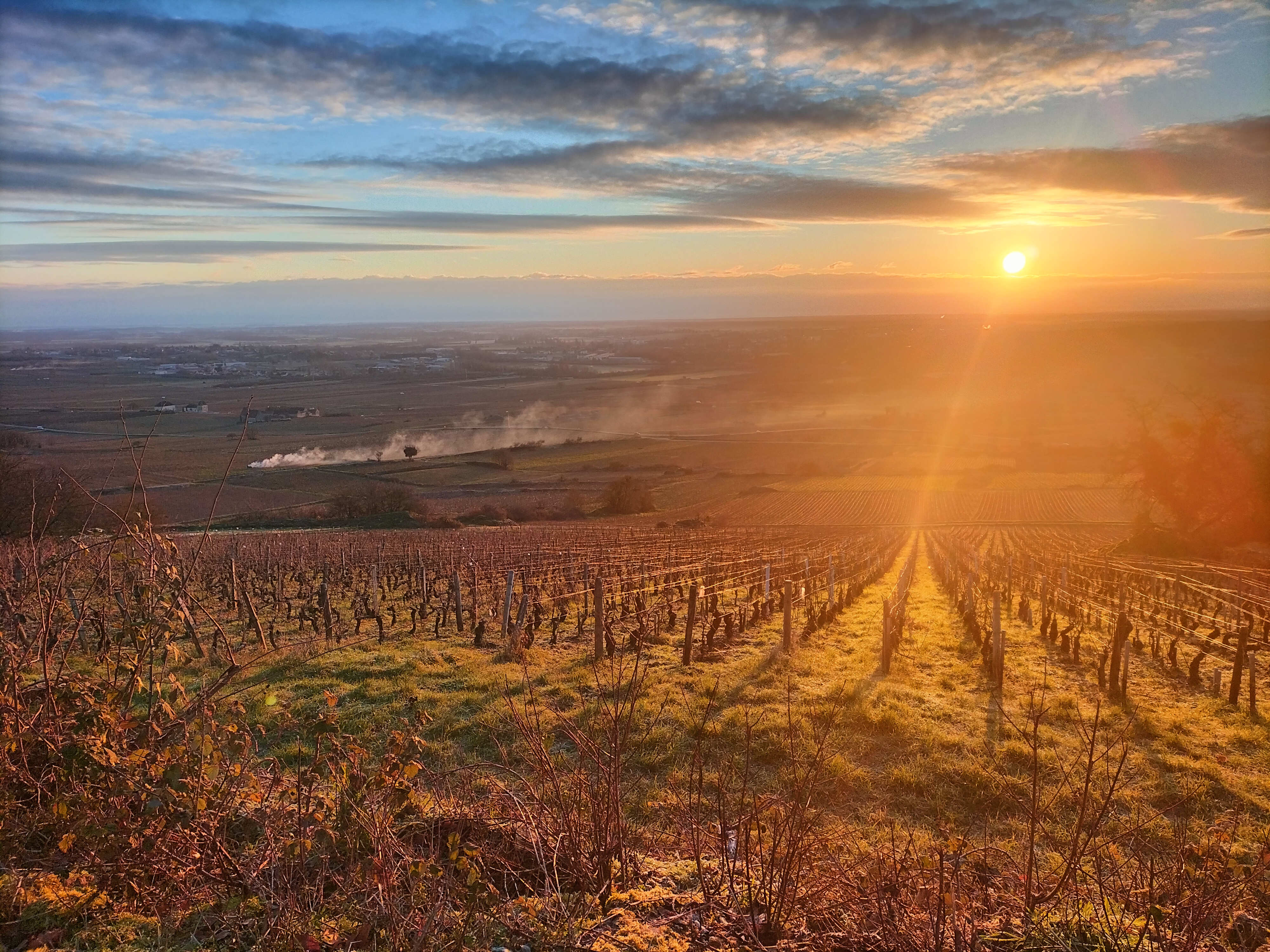 les climats de santenay au réveil
