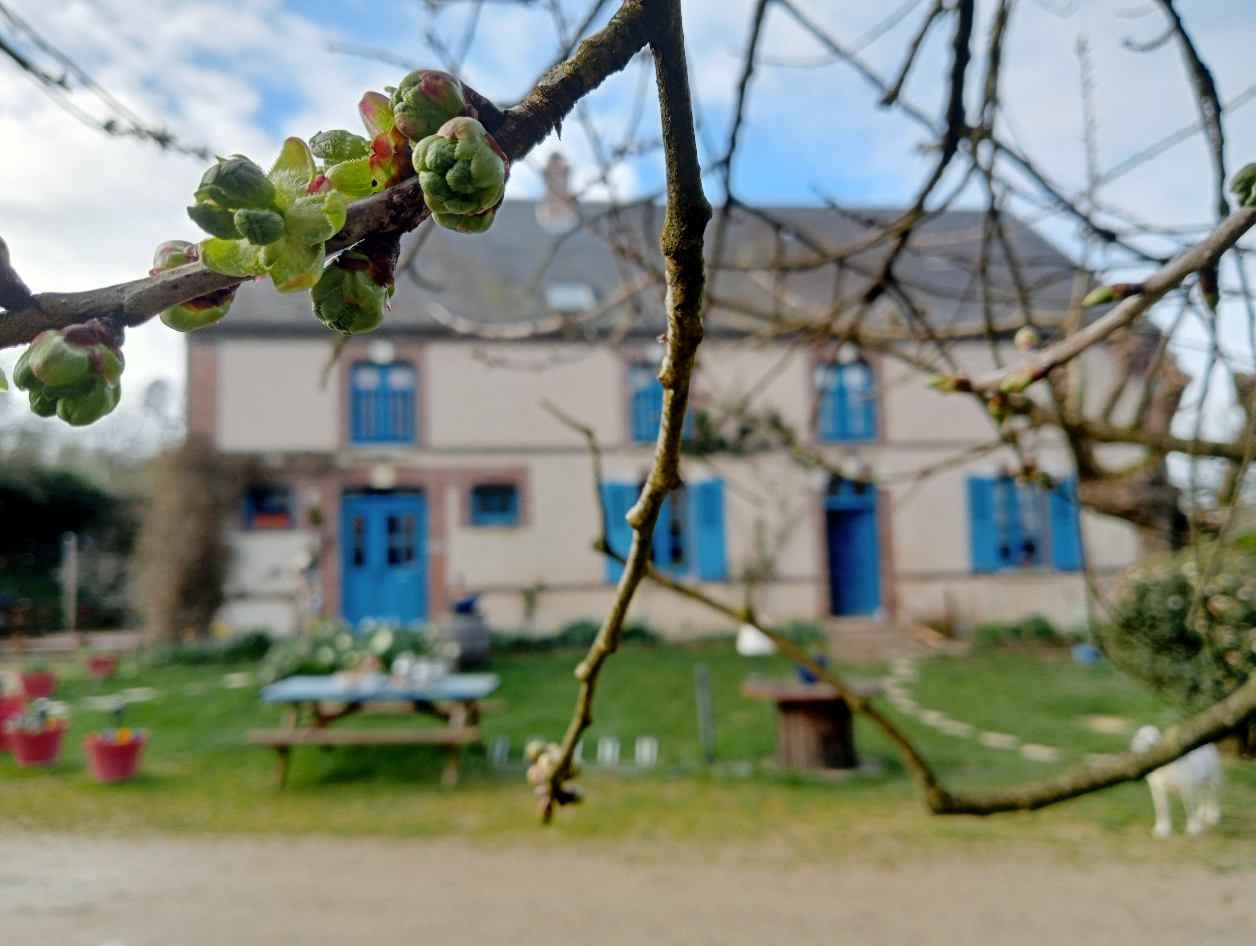 La Ferme de Plénoise Bed& Breakfast
