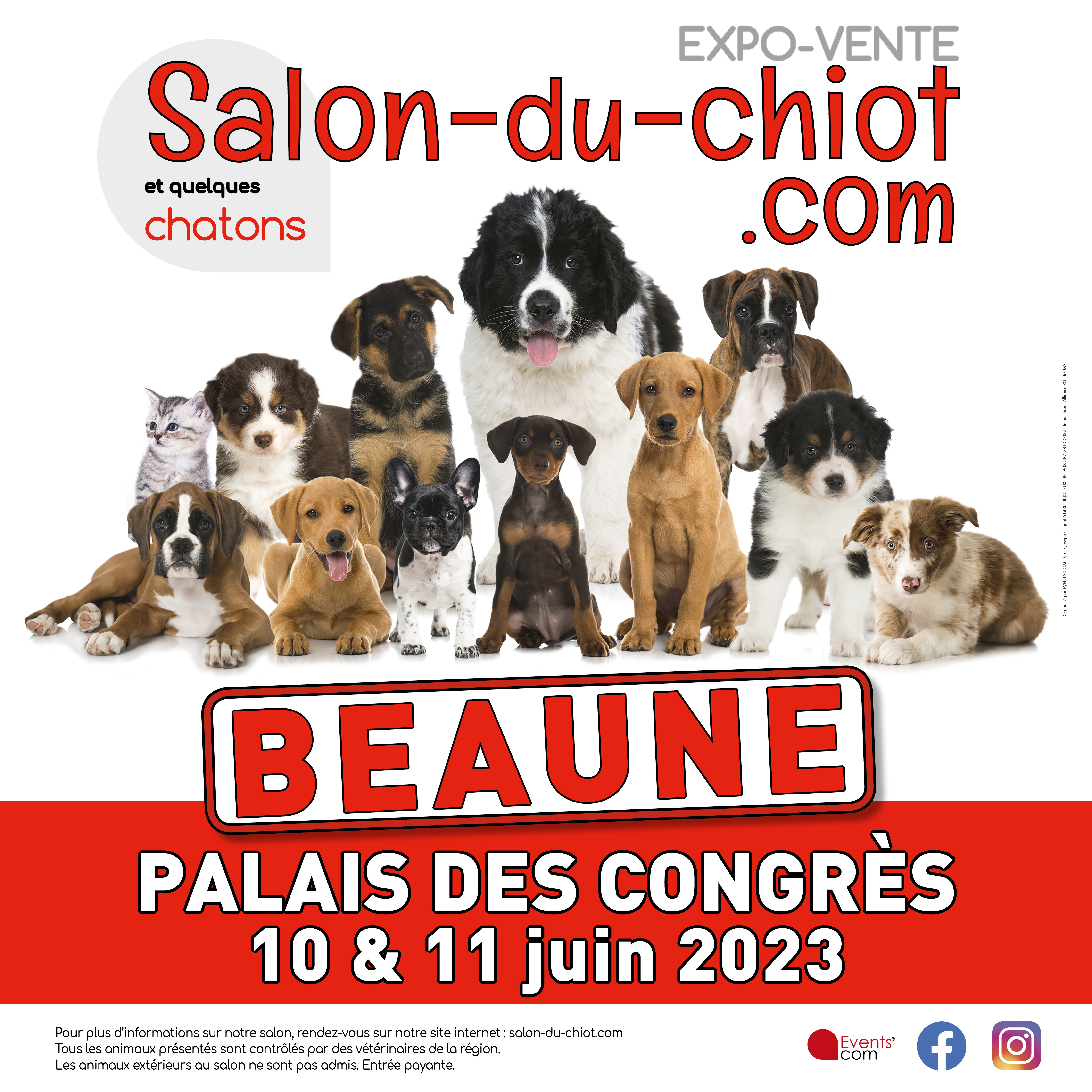 Affiche salon du chiot
