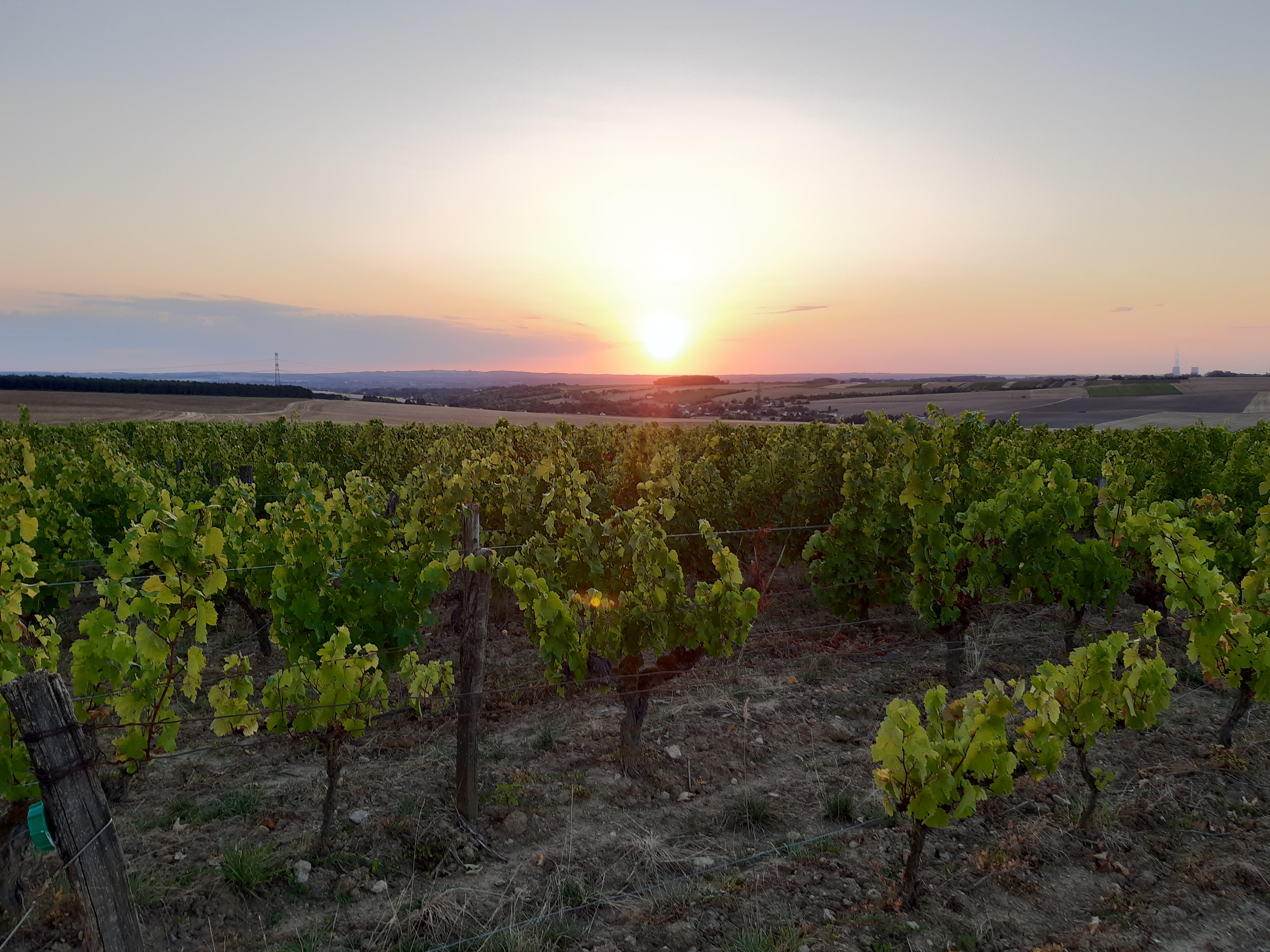 « It’s Wine Time » sur les bords de Loire