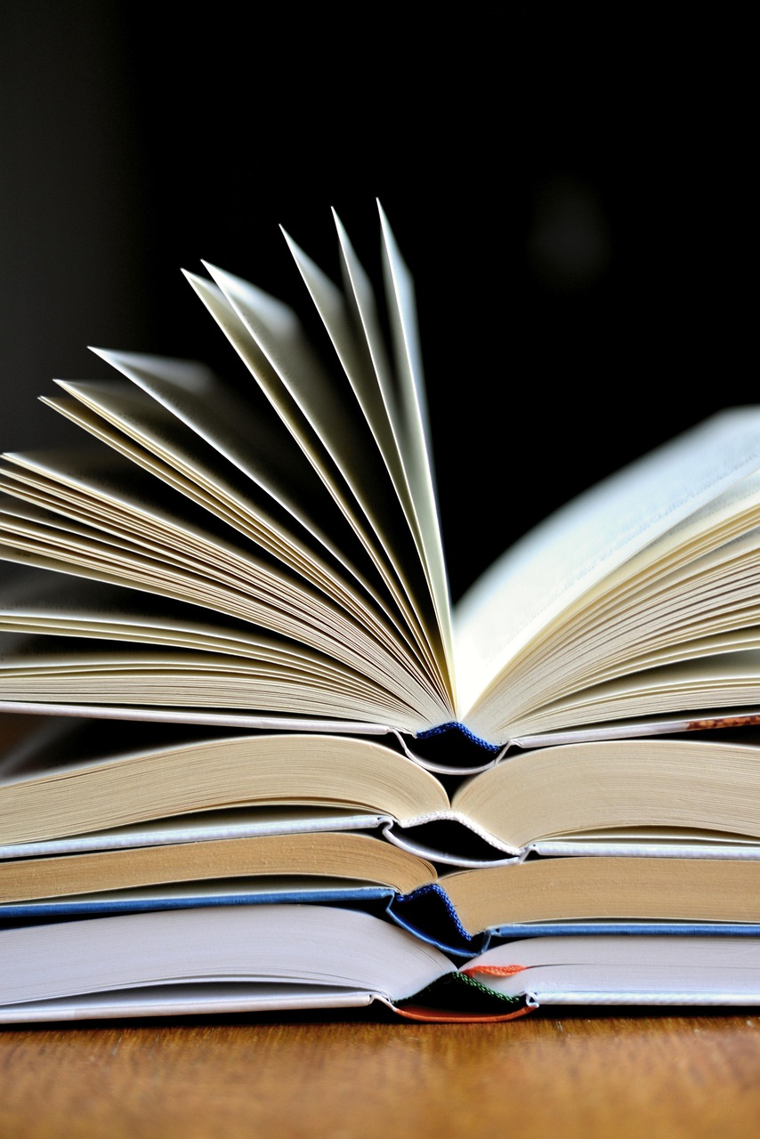 Le p'tit coin du livre
