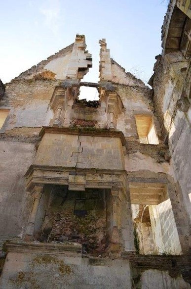 Image1