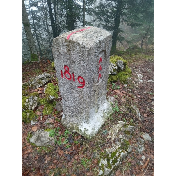 Image1